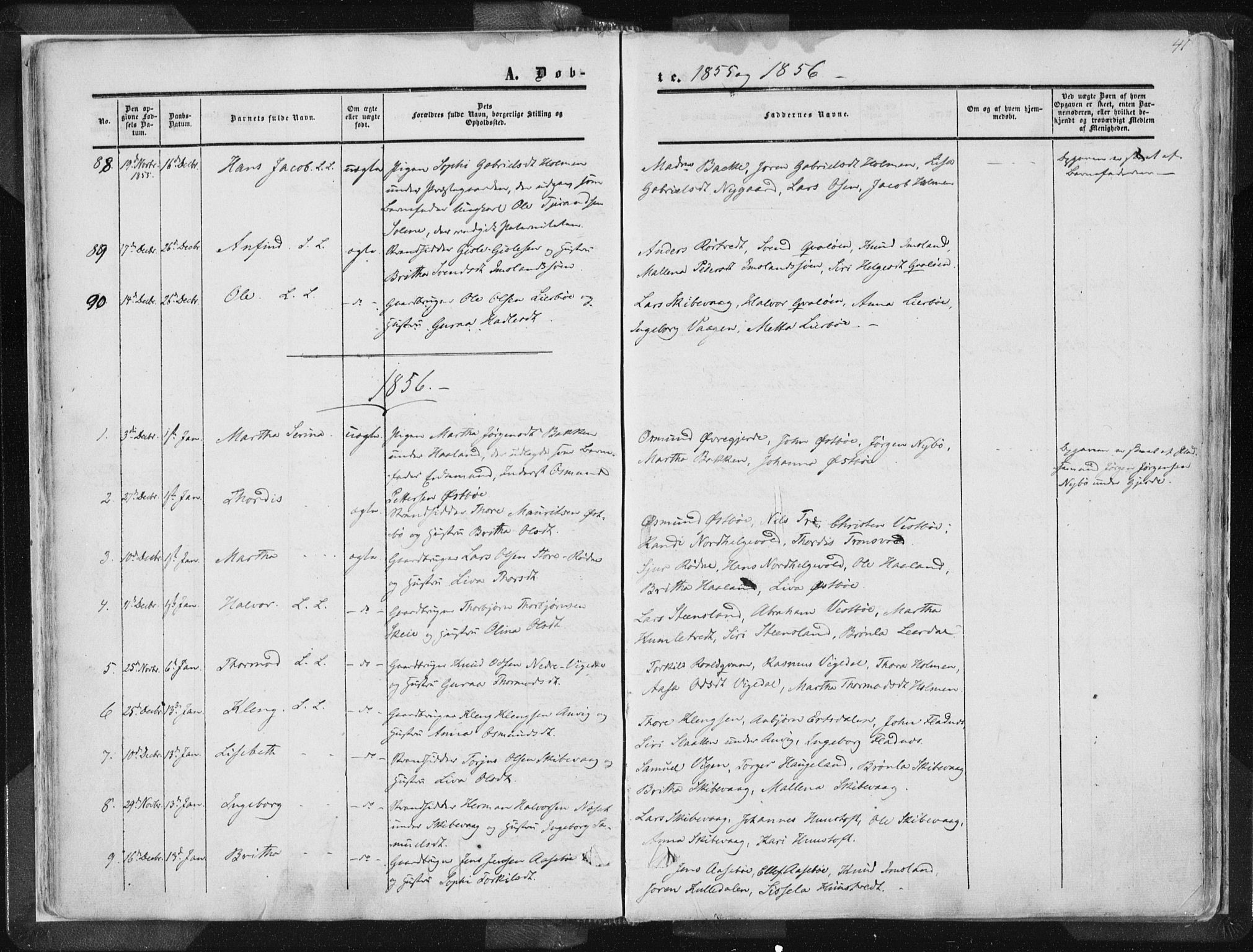 Vikedal sokneprestkontor, AV/SAST-A-101840/01/IV: Parish register (official) no. A 6.1, 1851-1867, p. 41