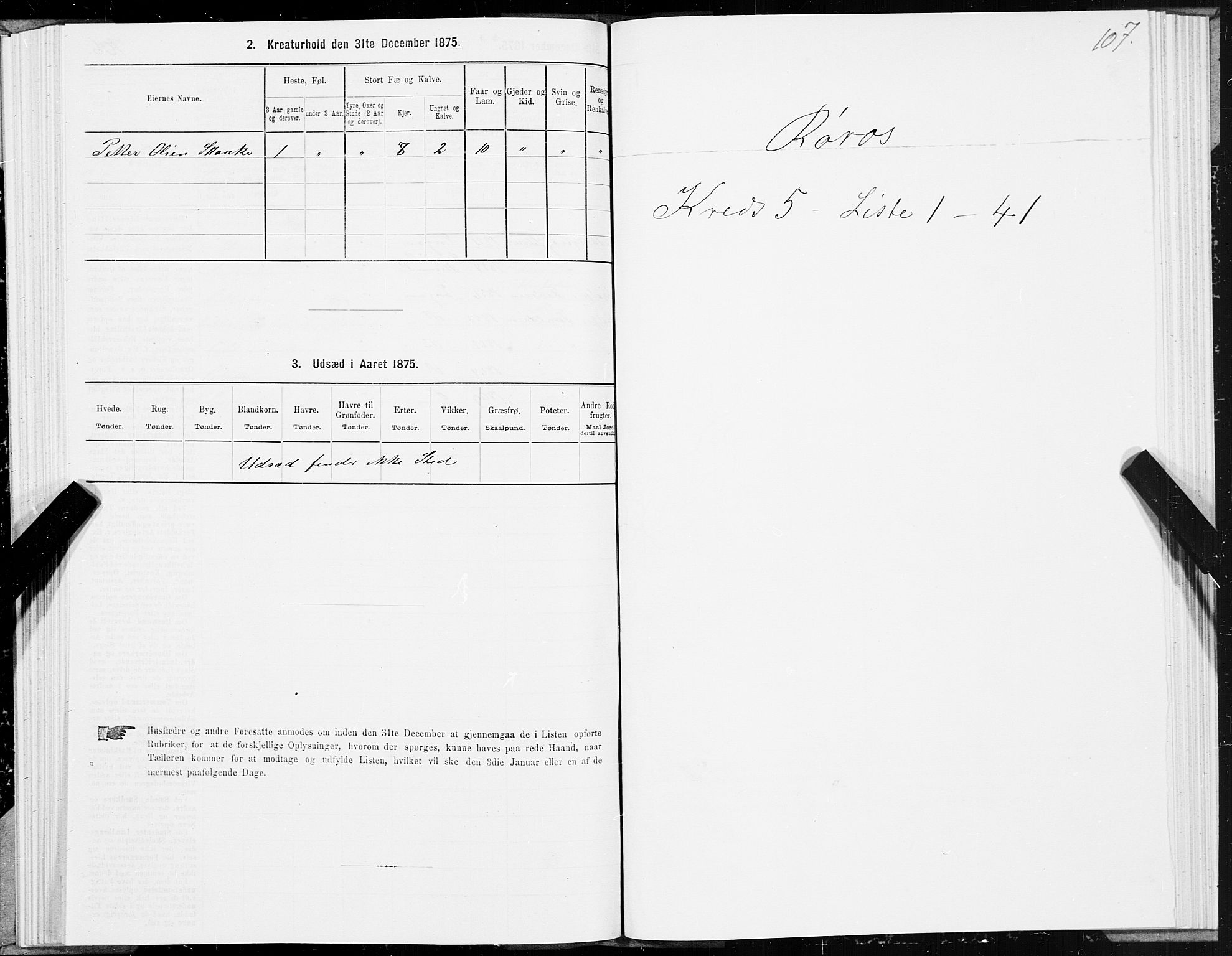 SAT, 1875 census for 1640P Røros, 1875, p. 3107