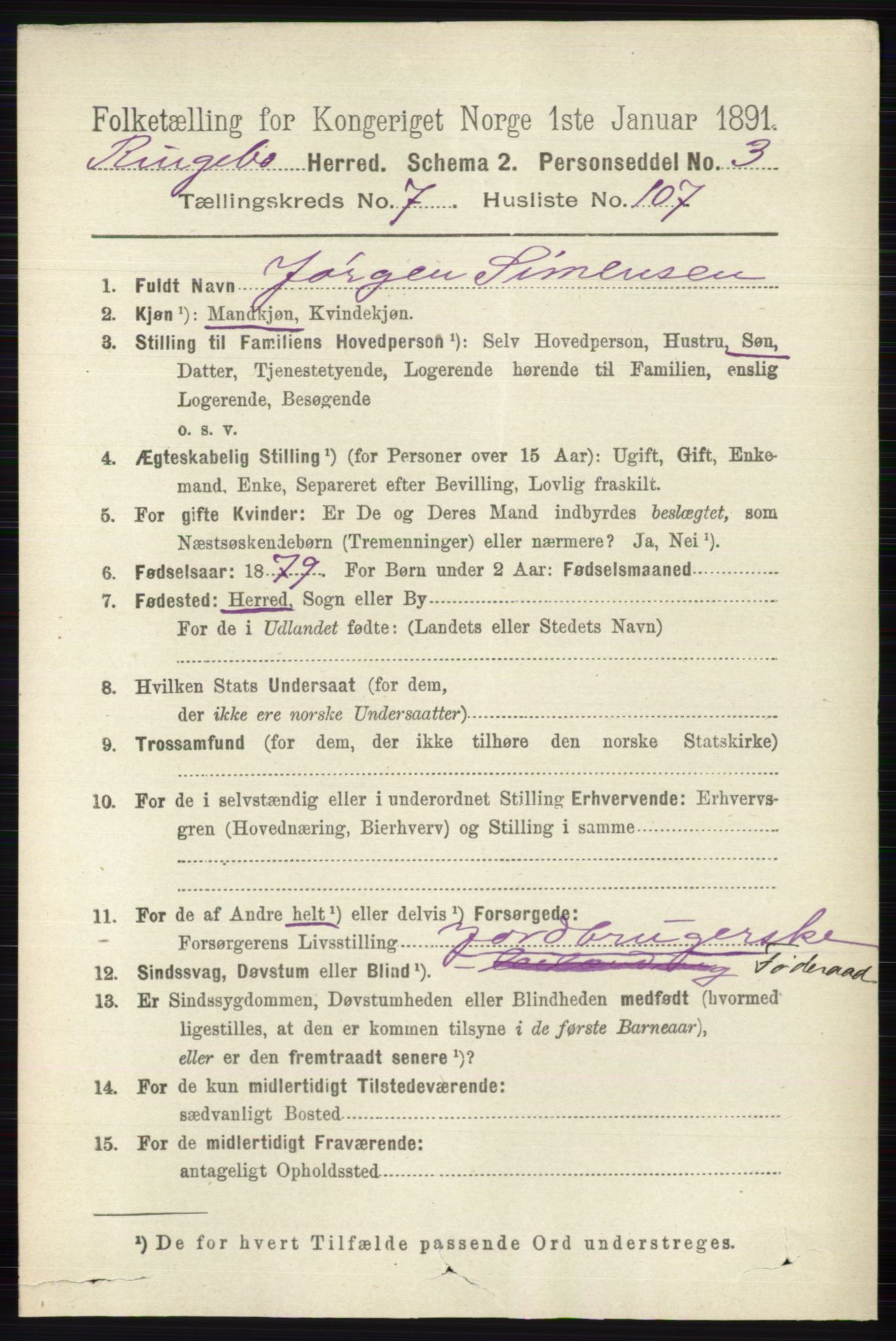 RA, 1891 census for 0520 Ringebu, 1891, p. 3570