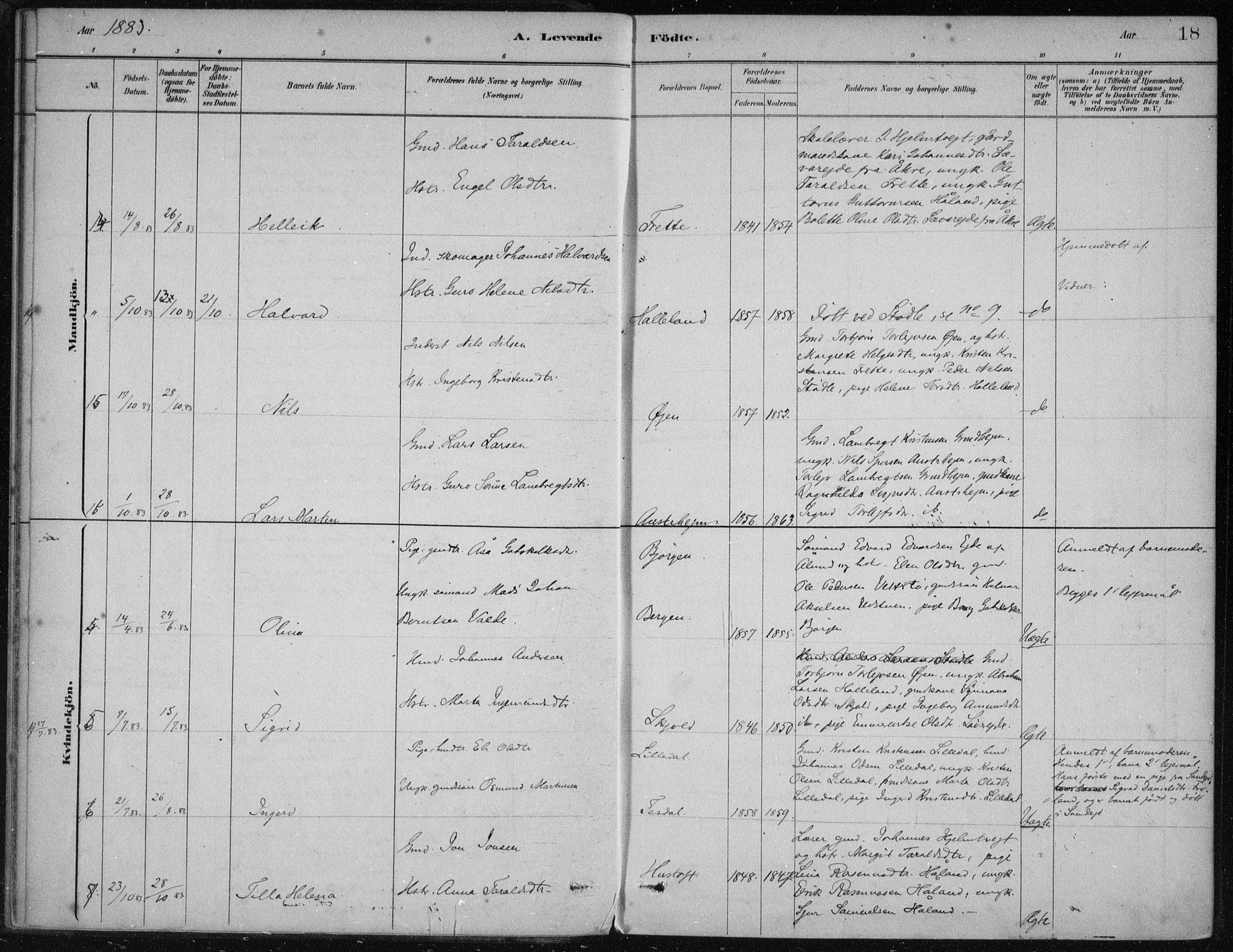 Etne sokneprestembete, AV/SAB-A-75001/H/Haa: Parish register (official) no. D  1, 1879-1919, p. 18