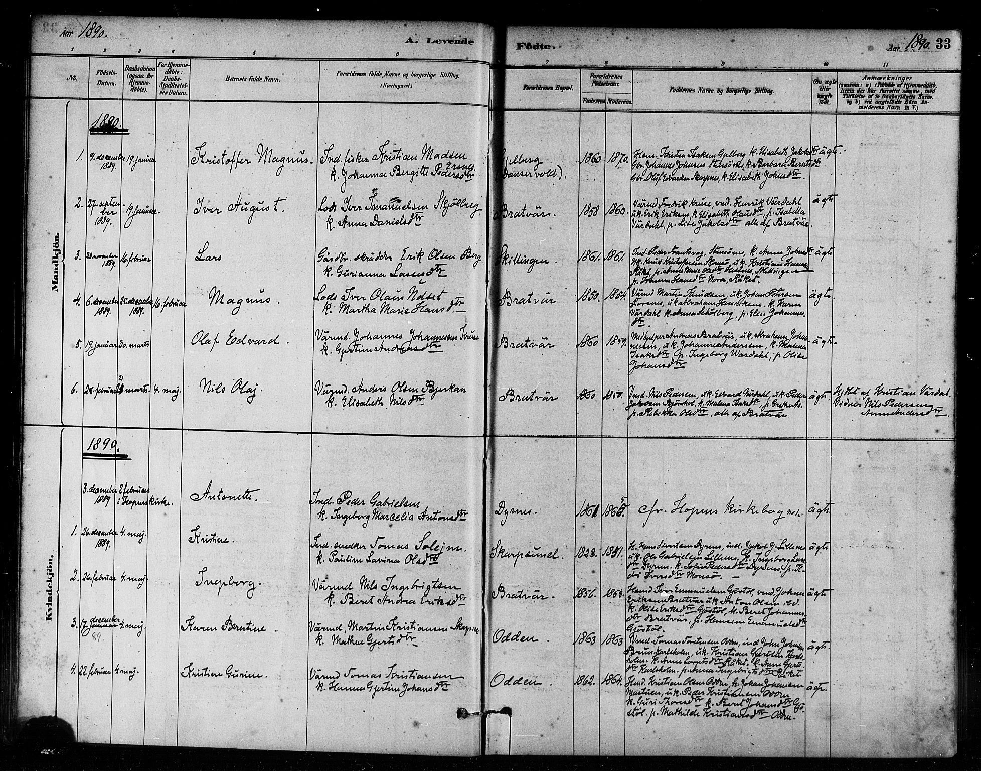 Ministerialprotokoller, klokkerbøker og fødselsregistre - Møre og Romsdal, SAT/A-1454/582/L0947: Parish register (official) no. 582A01, 1880-1900, p. 33