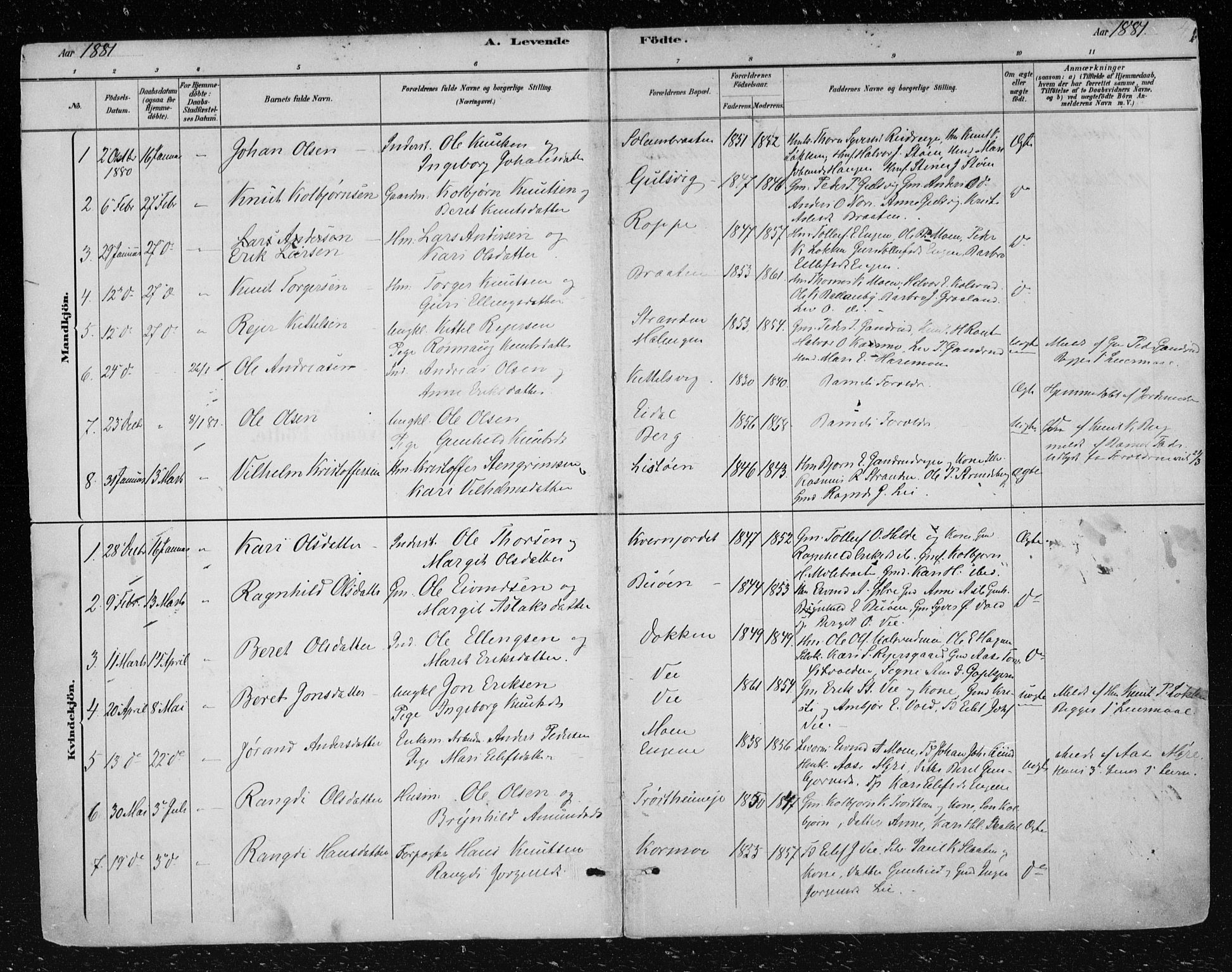 Nes kirkebøker, SAKO/A-236/F/Fa/L0012: Parish register (official) no. 12, 1881-1917, p. 4