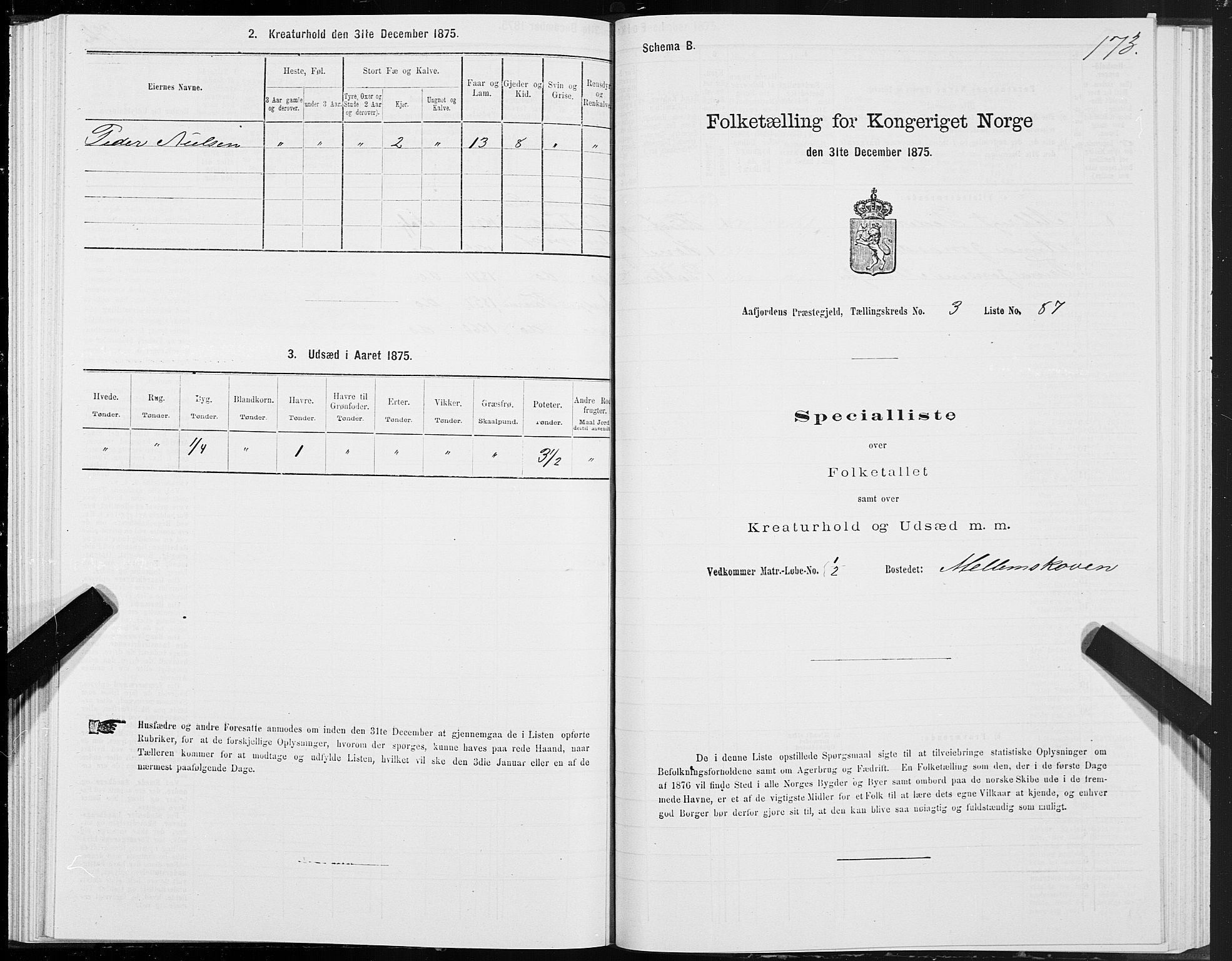 SAT, 1875 census for 1630P Aafjorden, 1875, p. 2173