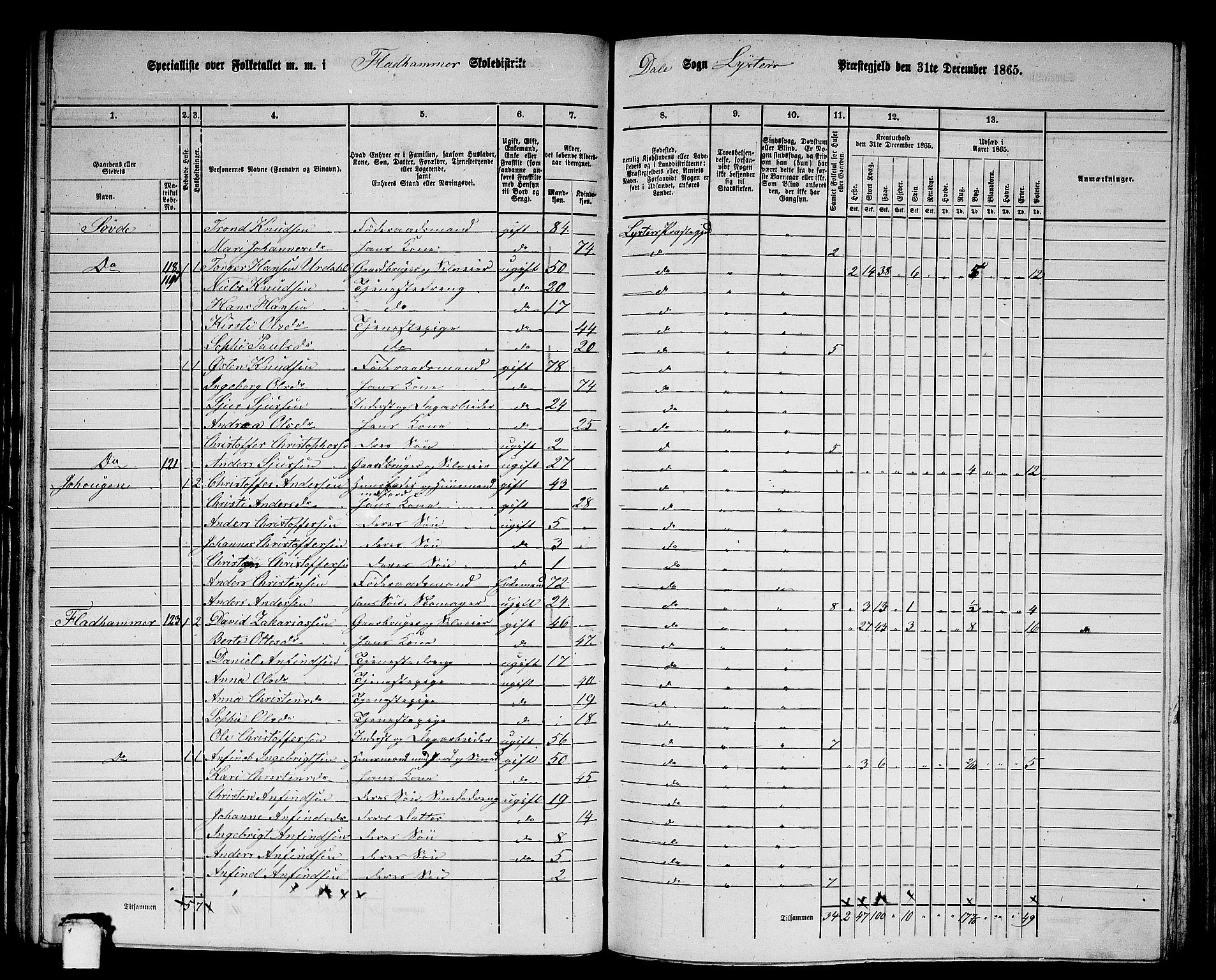 RA, 1865 census for Luster, 1865, p. 70