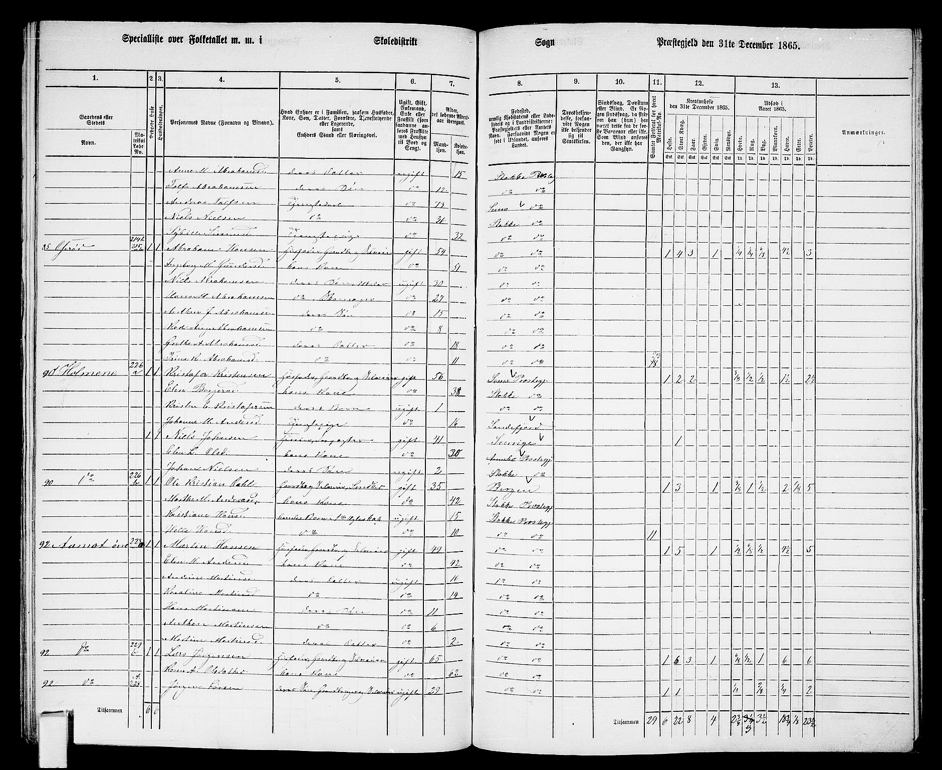 RA, 1865 census for Stokke, 1865, p. 148