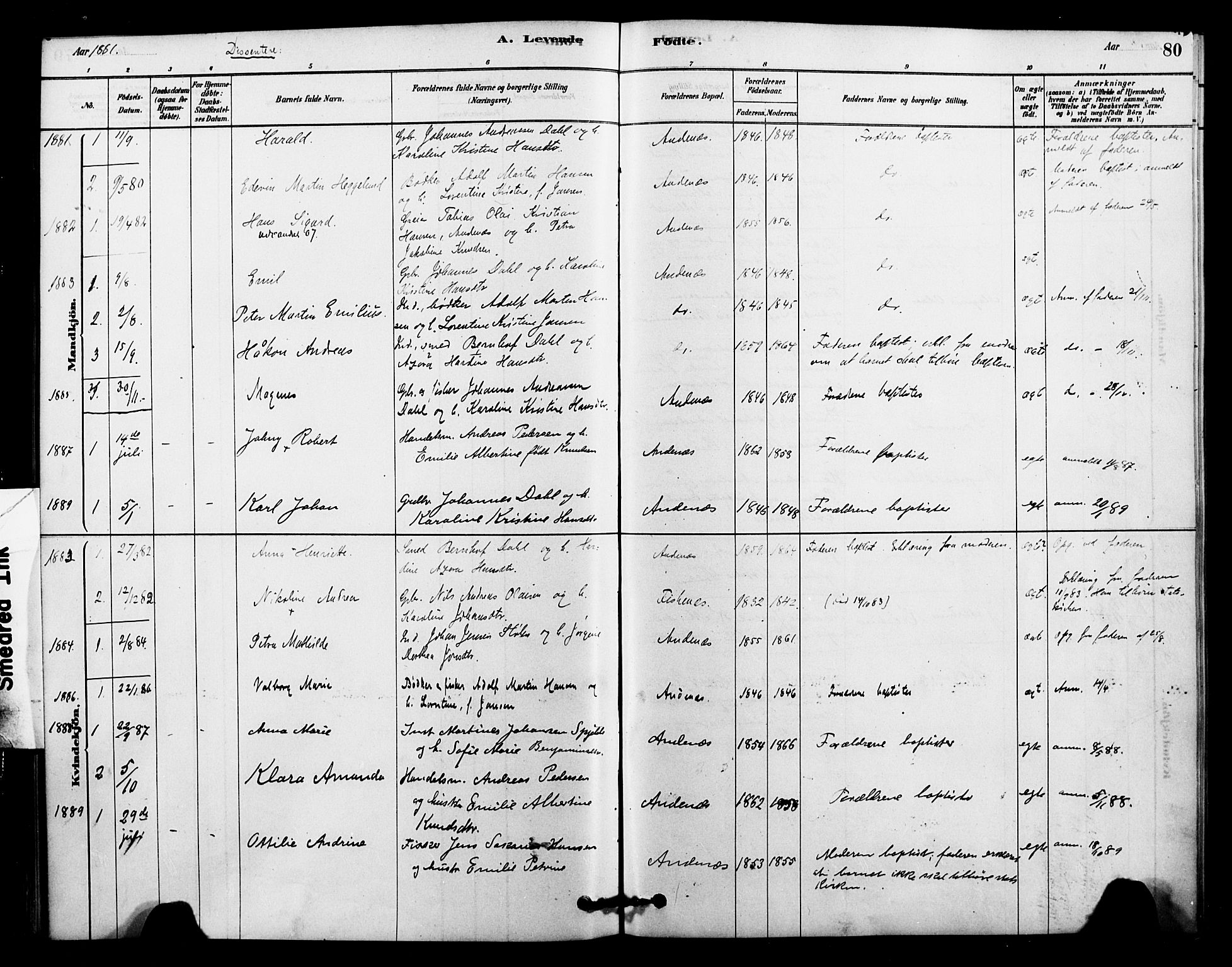 Ministerialprotokoller, klokkerbøker og fødselsregistre - Nordland, AV/SAT-A-1459/899/L1436: Parish register (official) no. 899A04, 1881-1896, p. 80