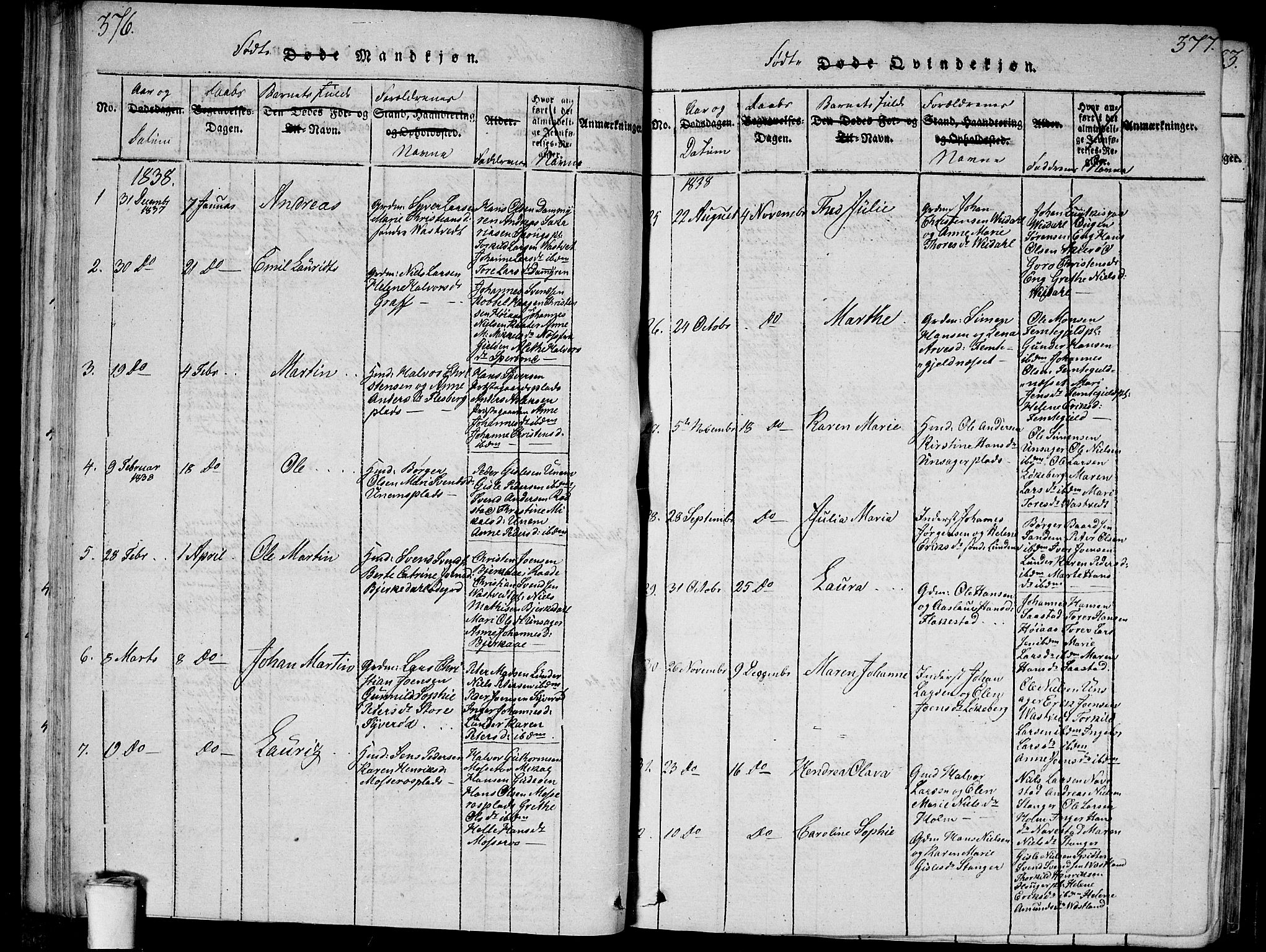 Våler prestekontor Kirkebøker, SAO/A-11083/G/Ga/L0001: Parish register (copy) no. I 1, 1815-1839, p. 376-377