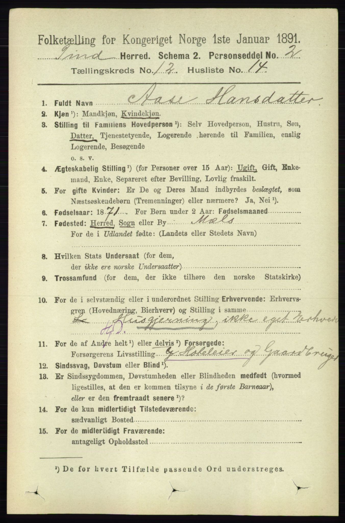 RA, 1891 census for 0826 Tinn, 1891, p. 2382