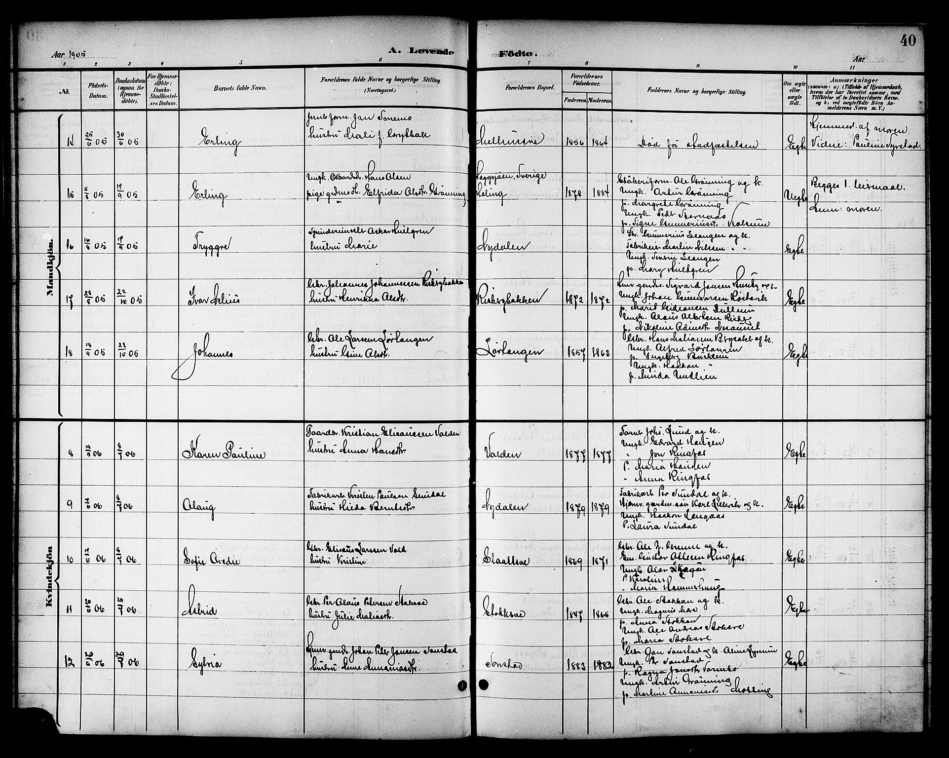 Ministerialprotokoller, klokkerbøker og fødselsregistre - Nord-Trøndelag, SAT/A-1458/714/L0135: Parish register (copy) no. 714C04, 1899-1918, p. 40