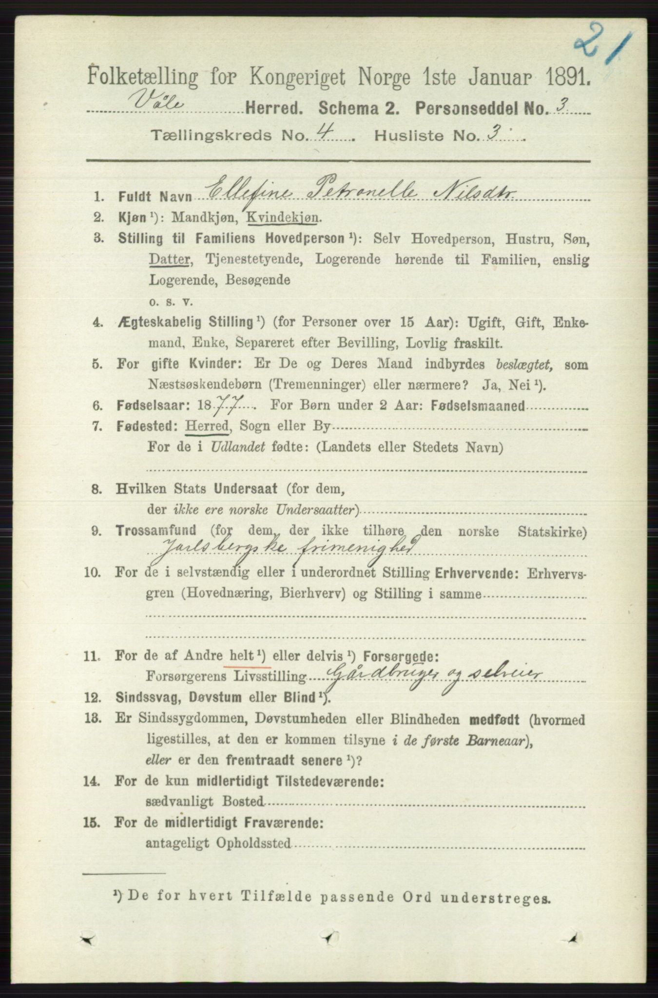 RA, 1891 census for 0716 Våle, 1891, p. 1000