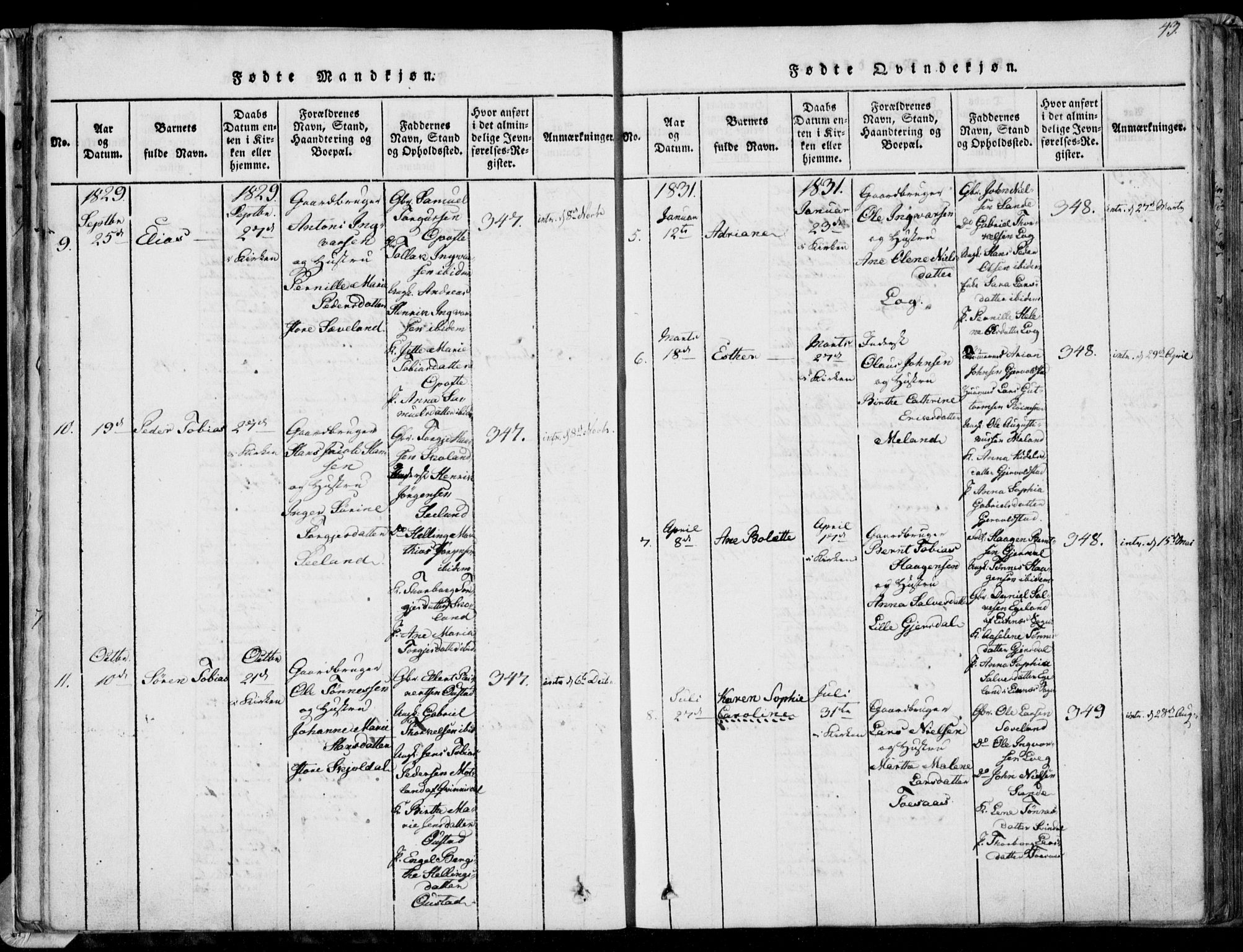 Herad sokneprestkontor, AV/SAK-1111-0018/F/Fa/Faa/L0003: Parish register (official) no. A 3, 1816-1844, p. 43