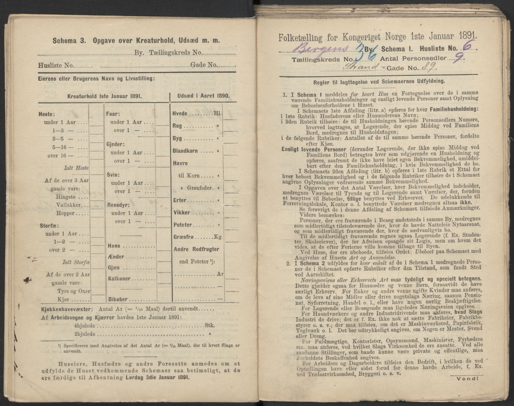 RA, 1891 Census for 1301 Bergen, 1891, p. 5793