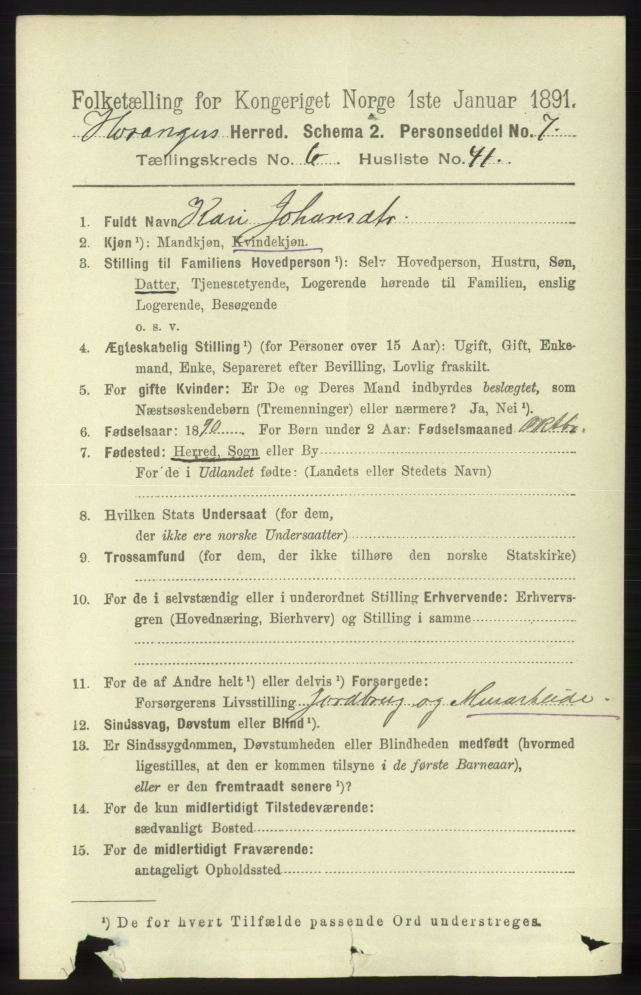 RA, 1891 census for 1253 Hosanger, 1891, p. 2432