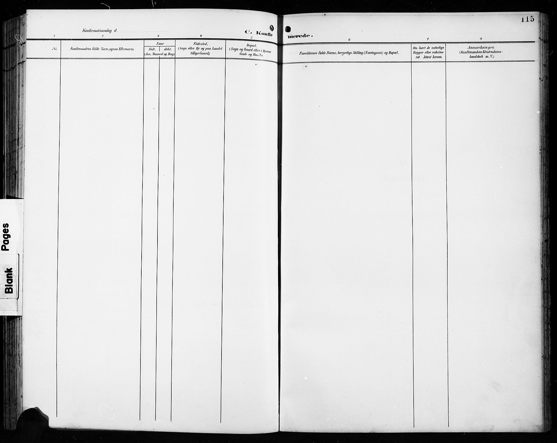 Åseral sokneprestkontor, AV/SAK-1111-0051/F/Fb/L0003: Parish register (copy) no. B 3, 1900-1919, p. 115