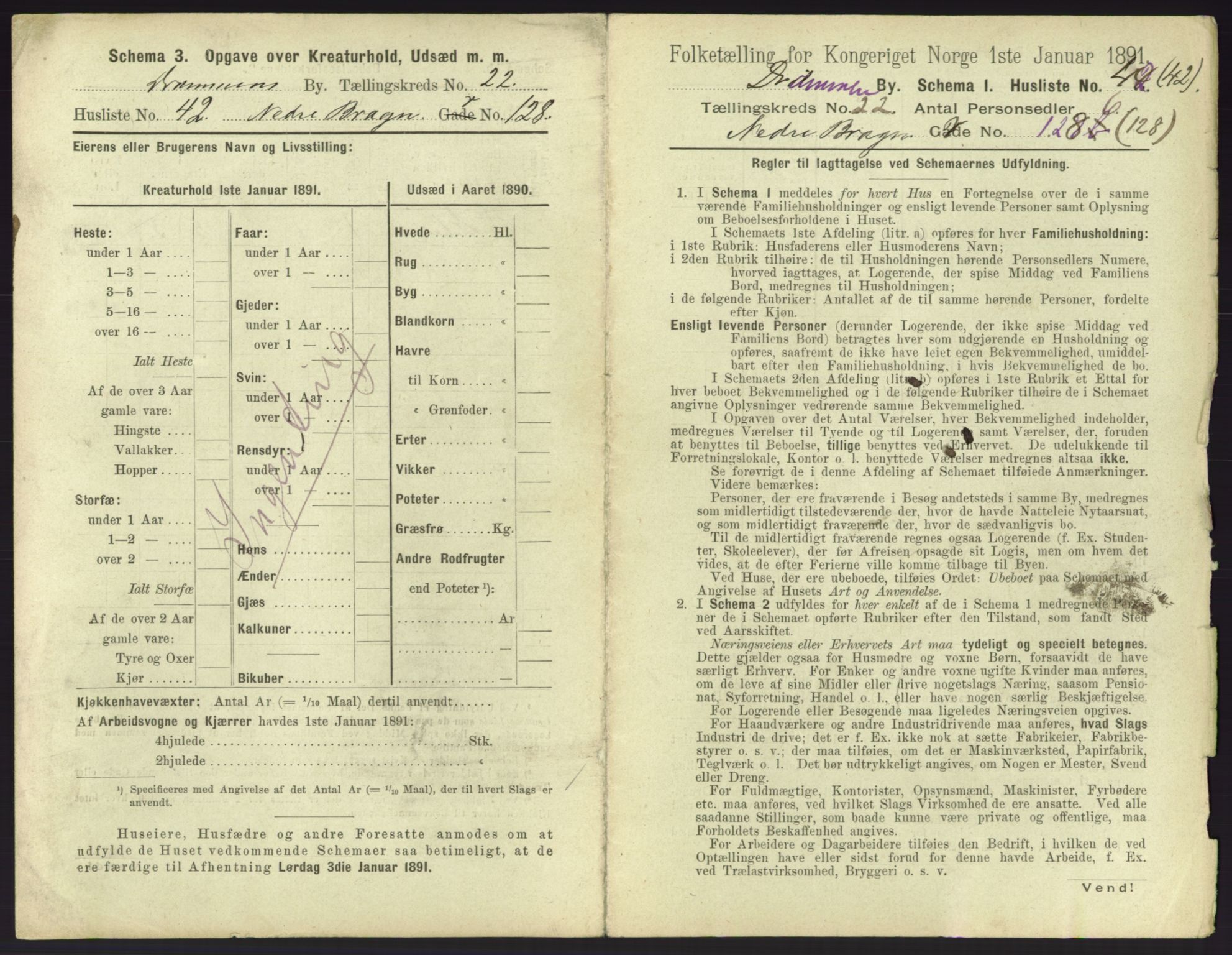 RA, 1891 census for 0602 Drammen, 1891, p. 1905