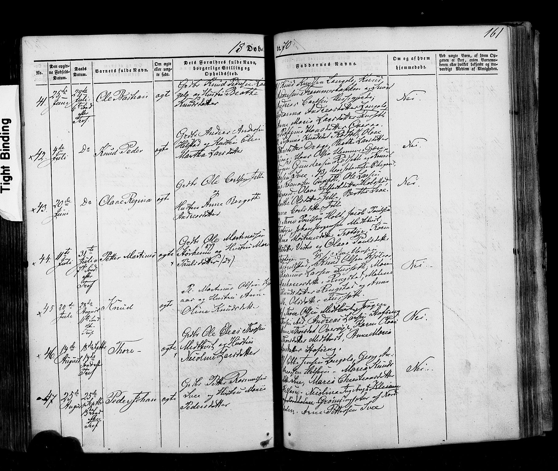 Ministerialprotokoller, klokkerbøker og fødselsregistre - Møre og Romsdal, AV/SAT-A-1454/520/L0275: Parish register (official) no. 520A05, 1844-1881, p. 161