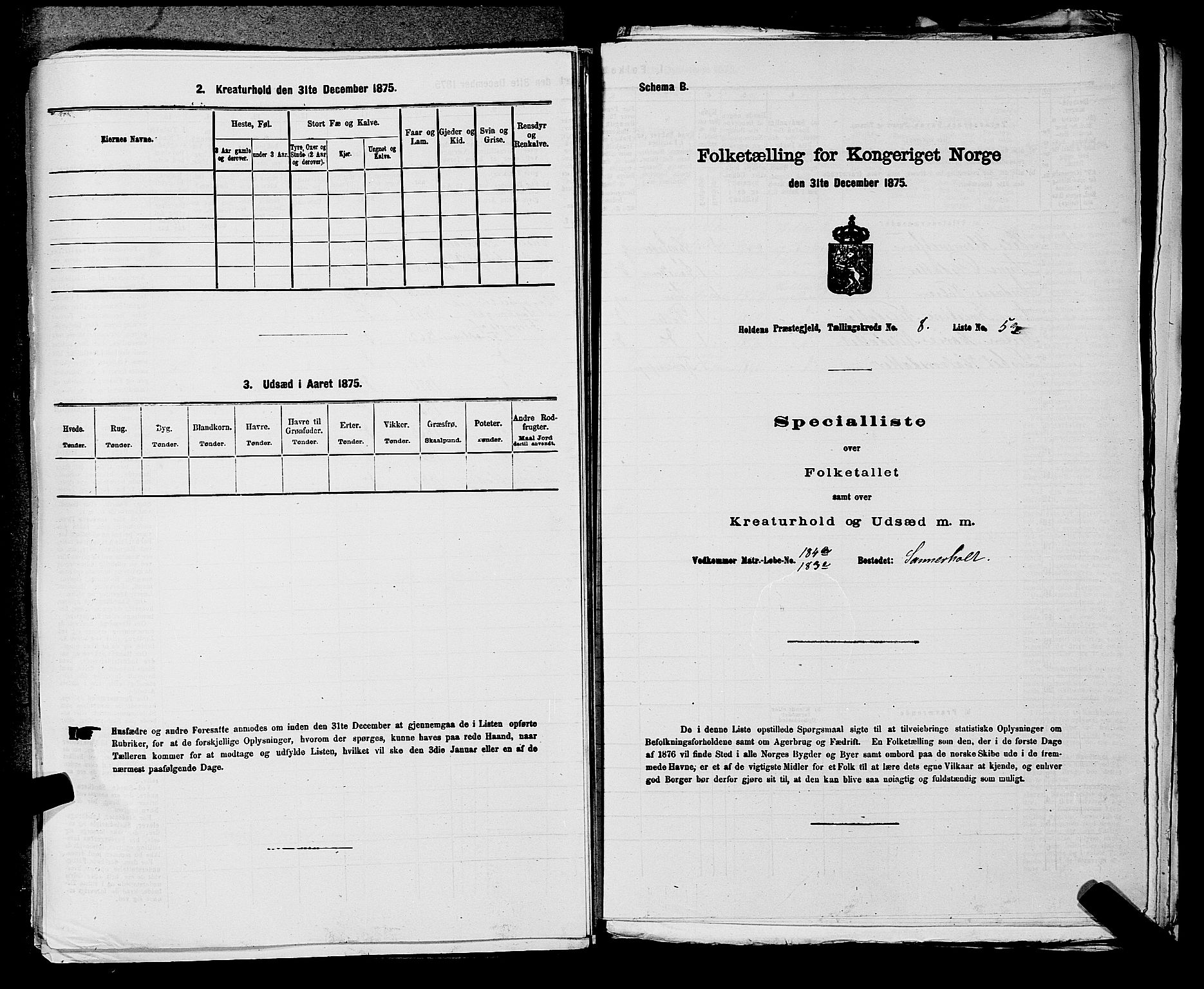 SAKO, 1875 census for 0819P Holla, 1875, p. 1070