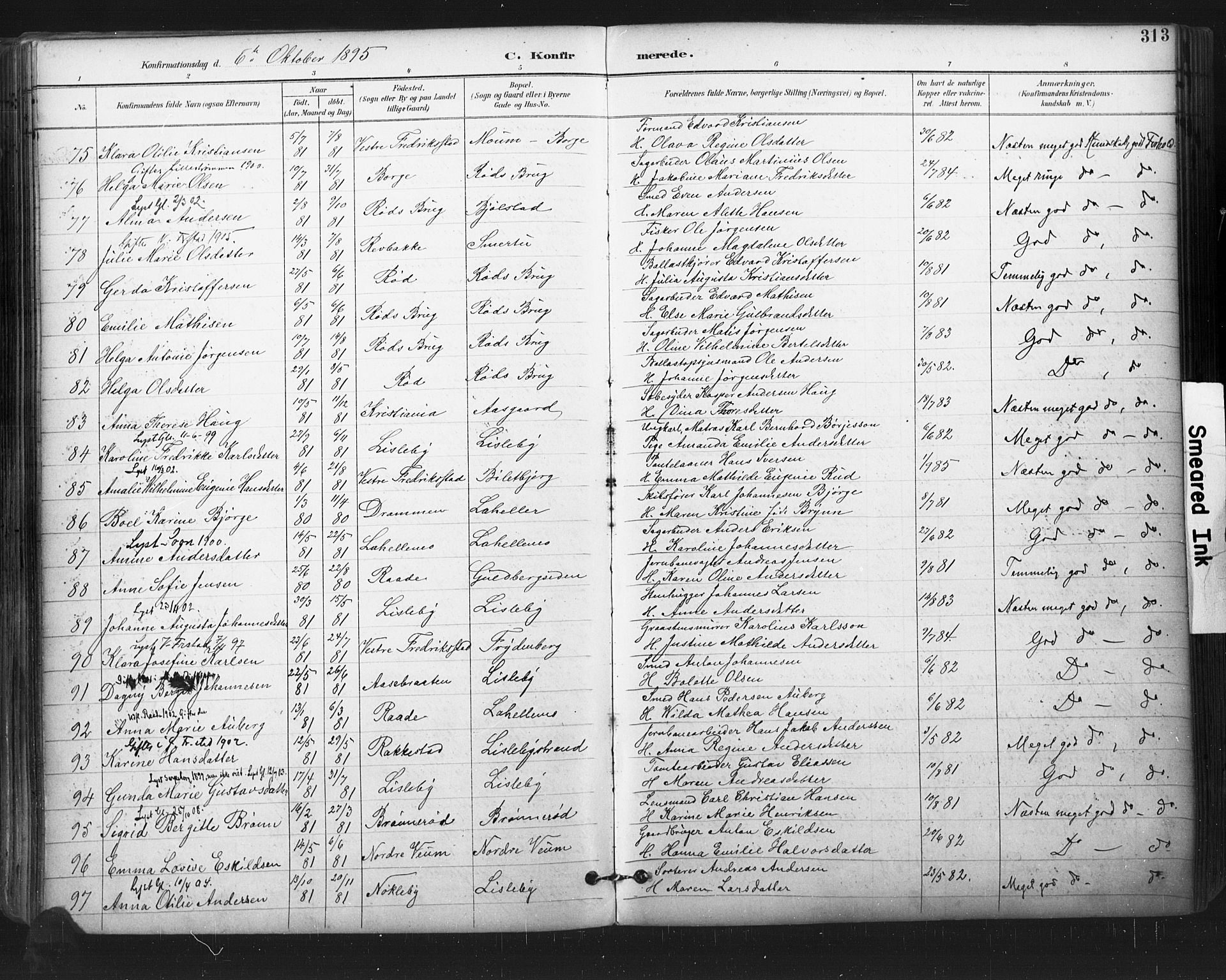 Glemmen prestekontor Kirkebøker, SAO/A-10908/F/Fa/L0013: Parish register (official) no. 13, 1892-1907, p. 313