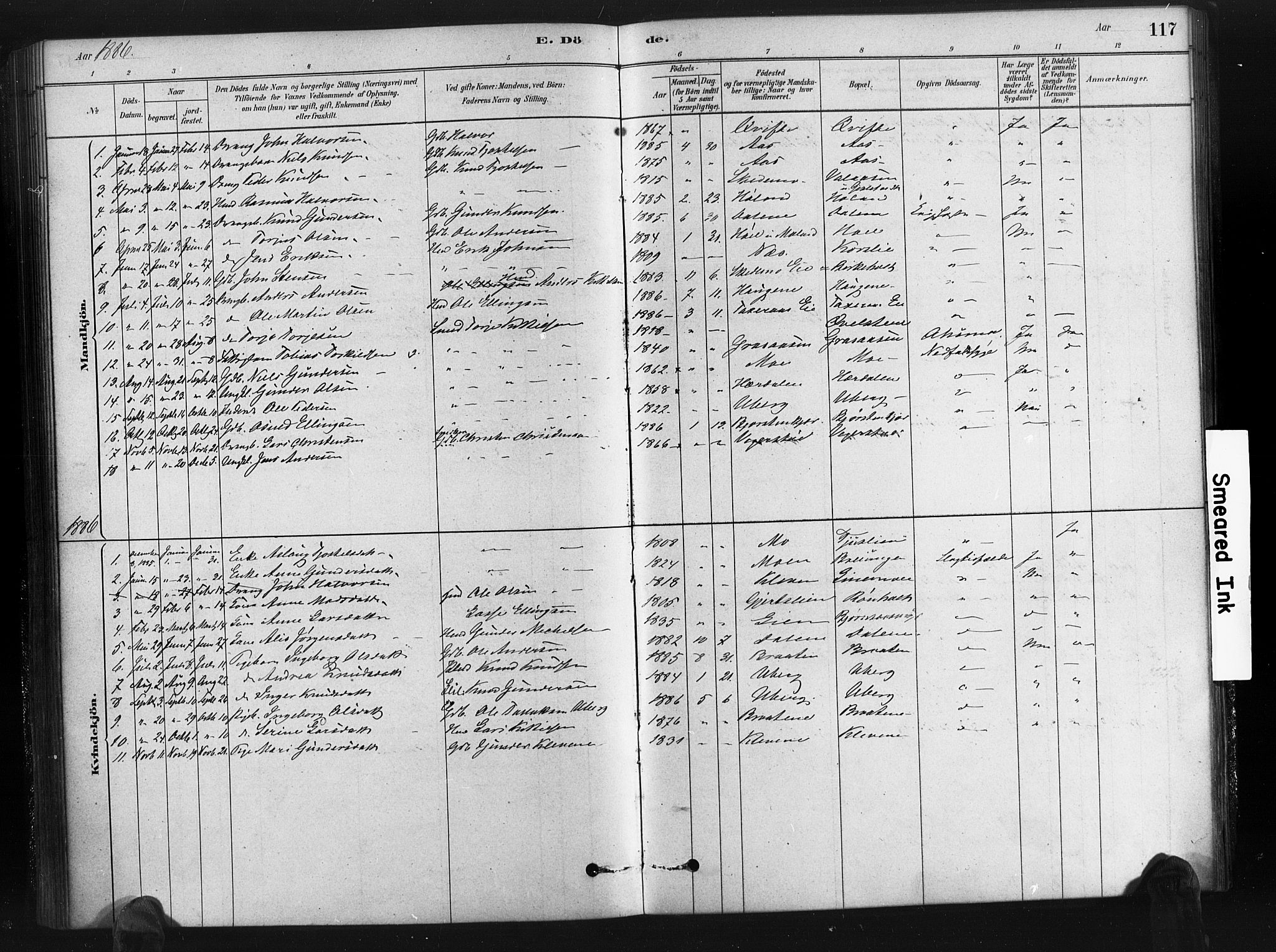 Gjerstad sokneprestkontor, AV/SAK-1111-0014/F/Fa/Fab/L0004: Parish register (official) no. A 4, 1879-1890, p. 117