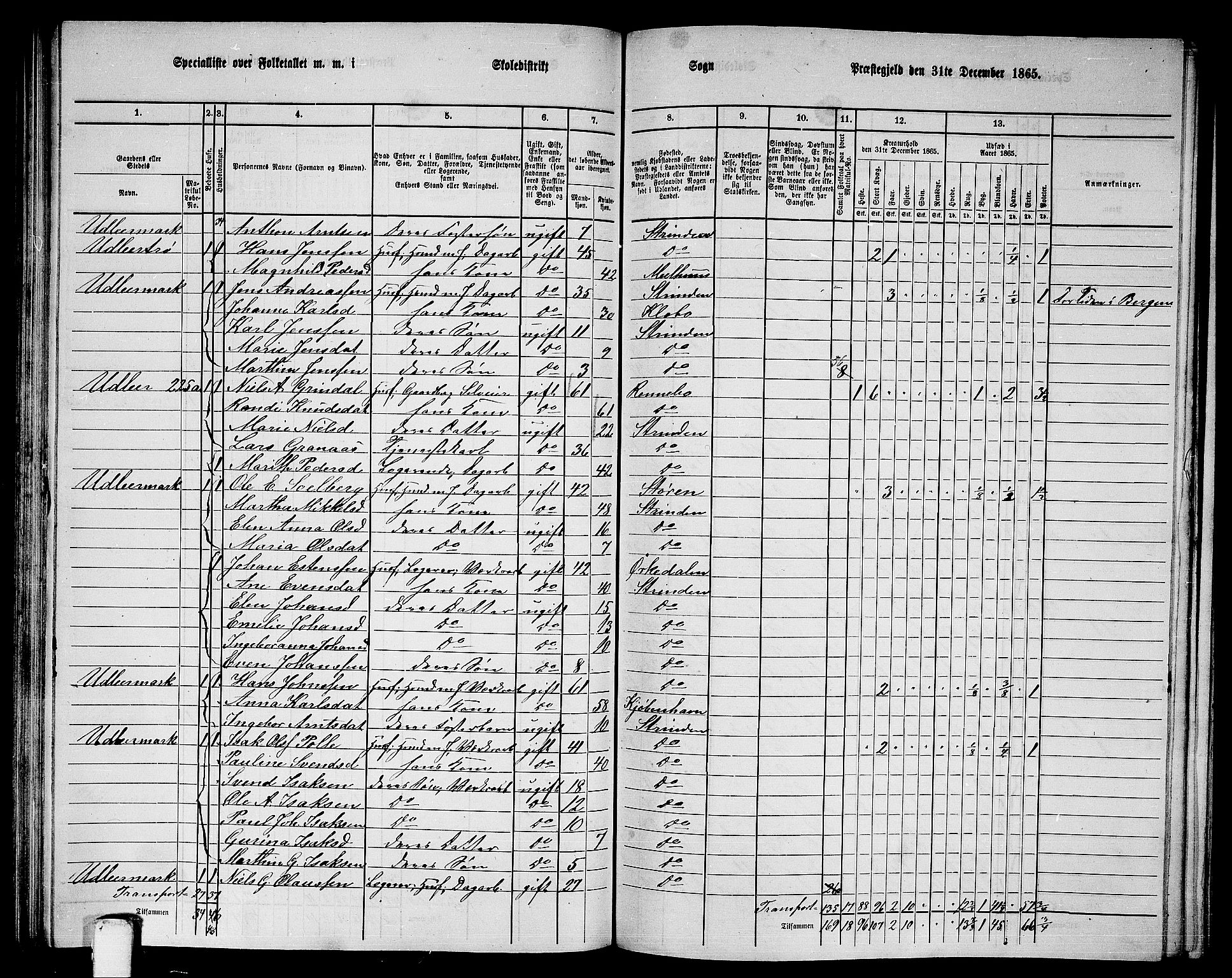 RA, 1865 census for Strinda, 1865, p. 125