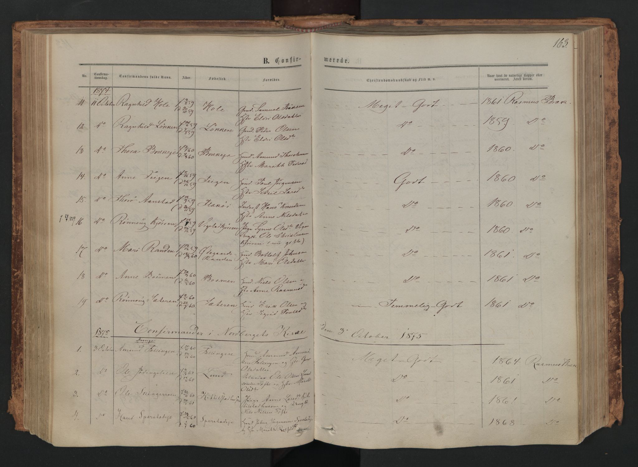 Skjåk prestekontor, AV/SAH-PREST-072/H/Ha/Haa/L0001: Parish register (official) no. 1, 1863-1879, p. 163