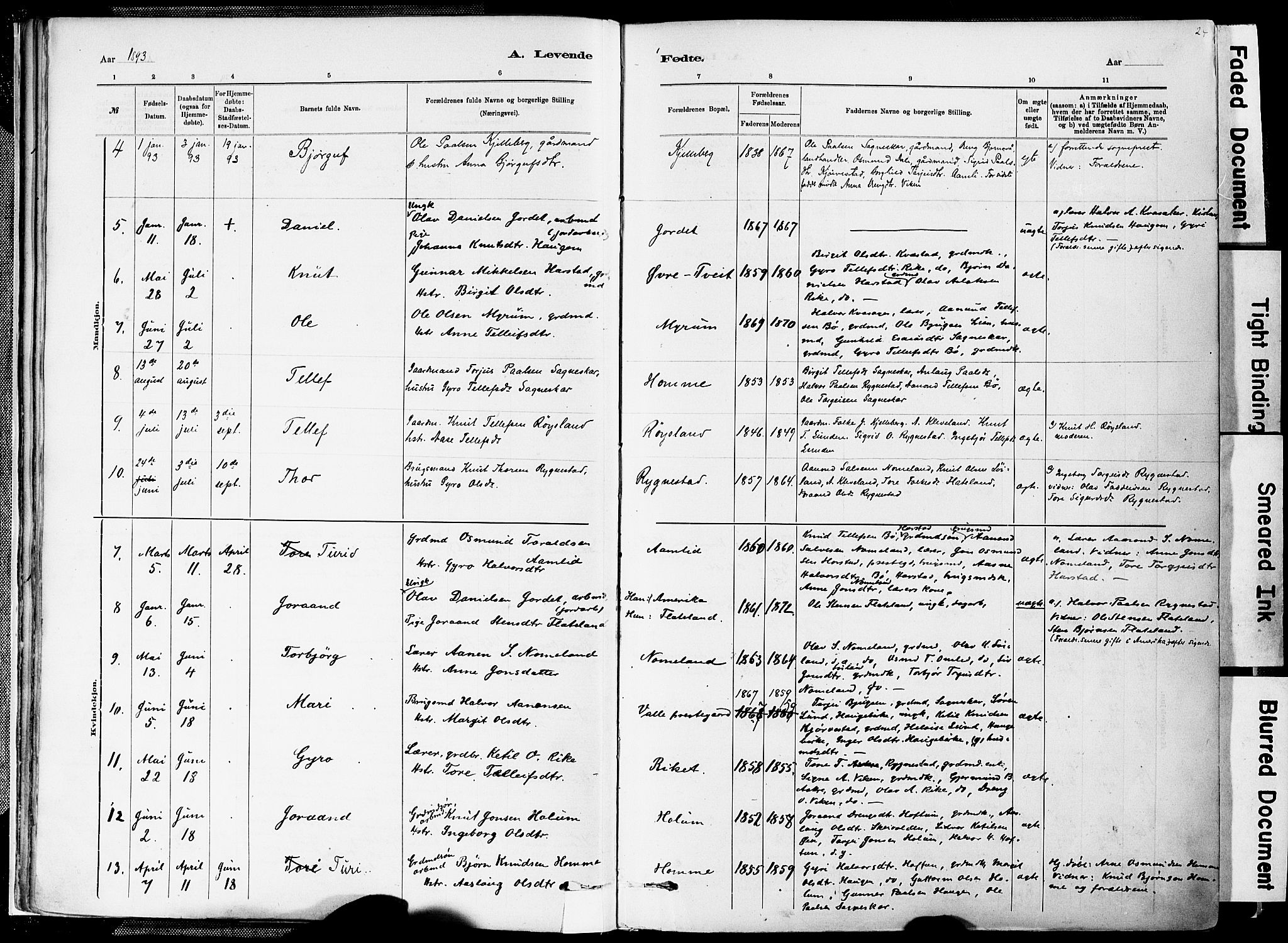 Valle sokneprestkontor, AV/SAK-1111-0044/F/Fa/Fac/L0009: Parish register (official) no. A 9, 1882-1913, p. 24