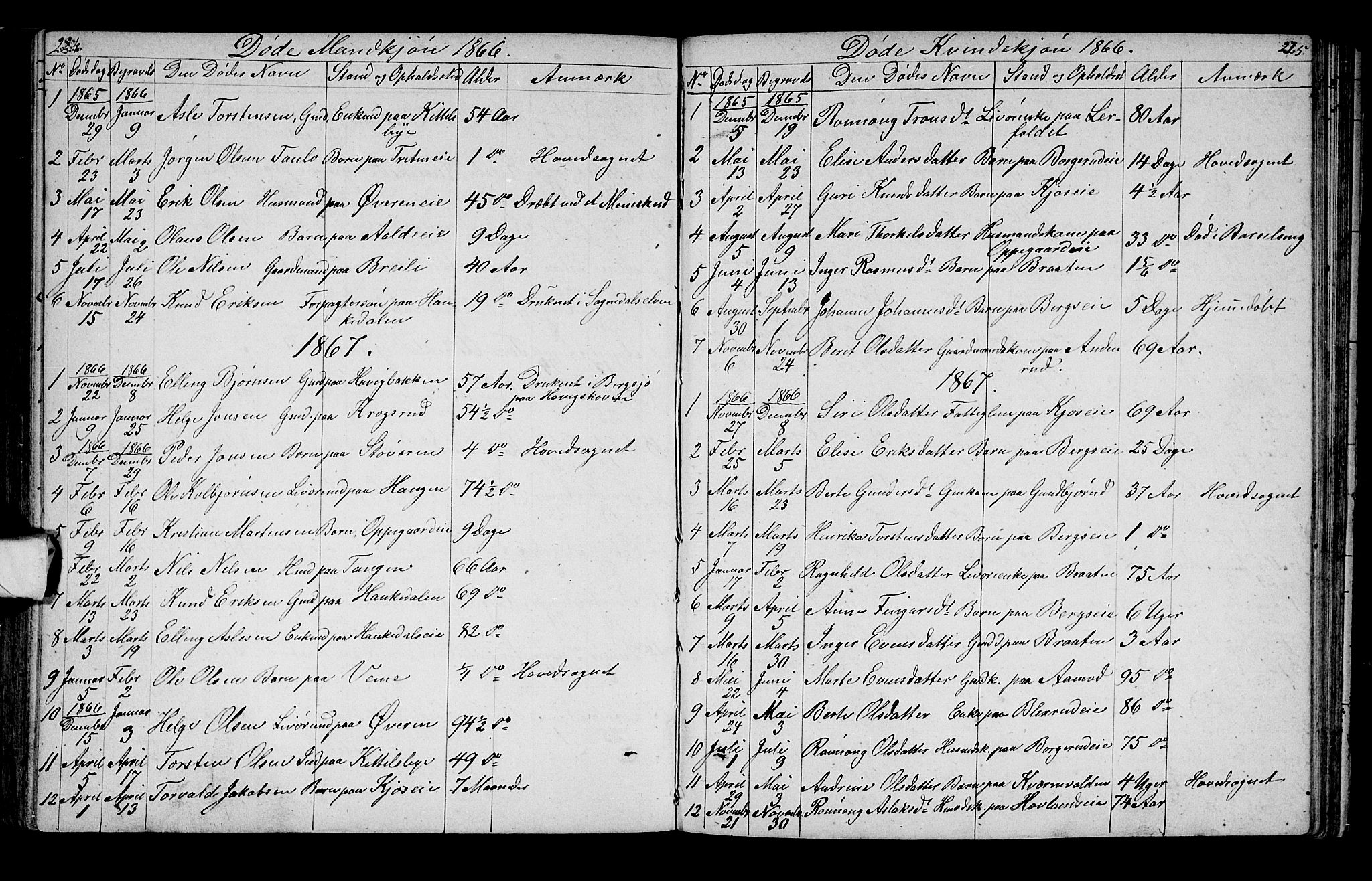 Lunder kirkebøker, SAKO/A-629/G/Ga/L0002: Parish register (copy) no. I 2, 1849-1868, p. 224-225