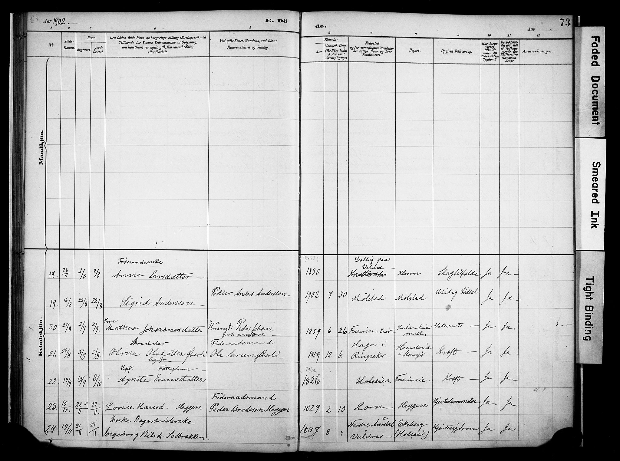 Nes prestekontor, Hedmark, SAH/PREST-020/K/Ka/L0011: Parish register (official) no. 11, 1887-1905, p. 73