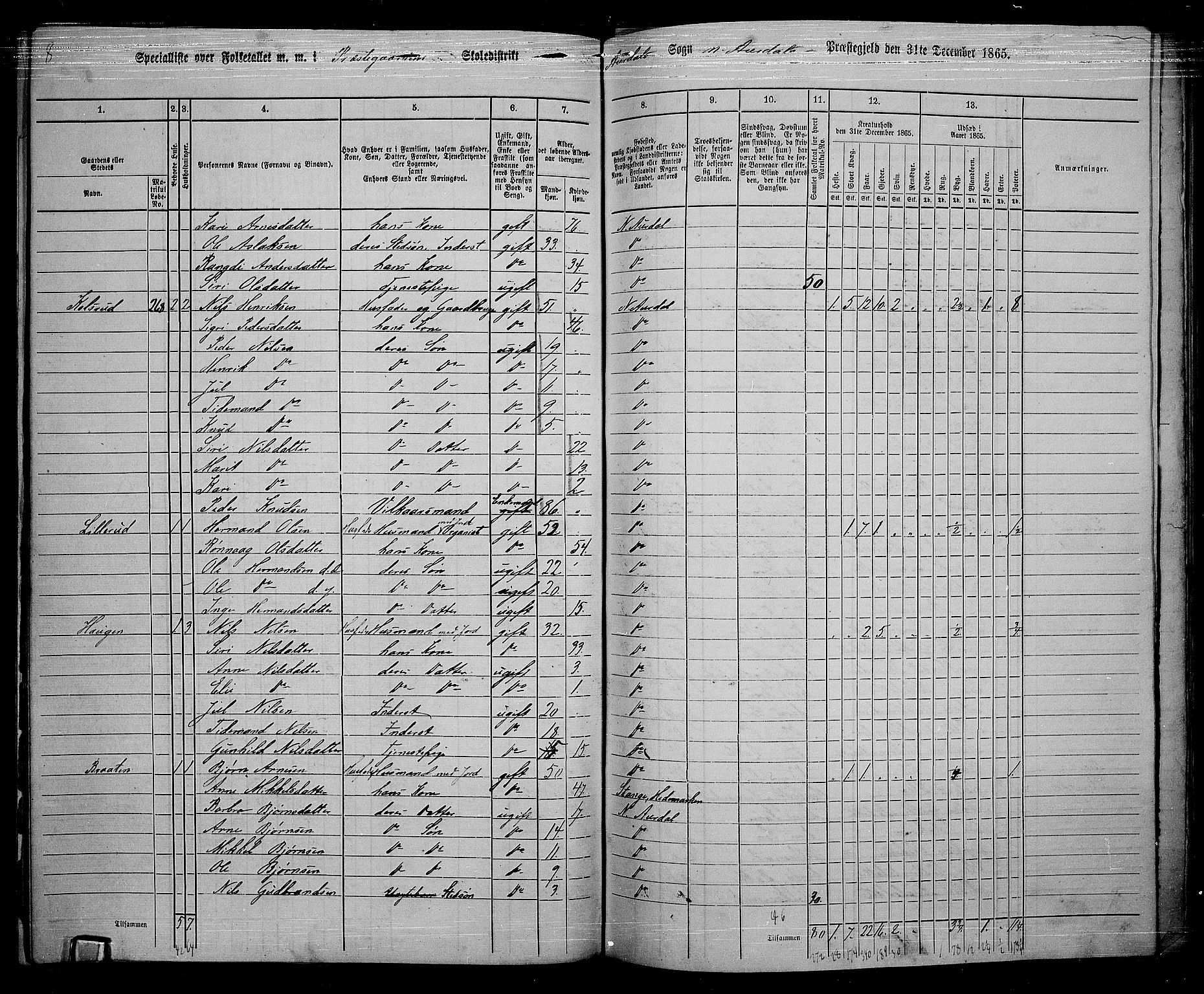 RA, 1865 census for Nord-Aurdal, 1865, p. 171