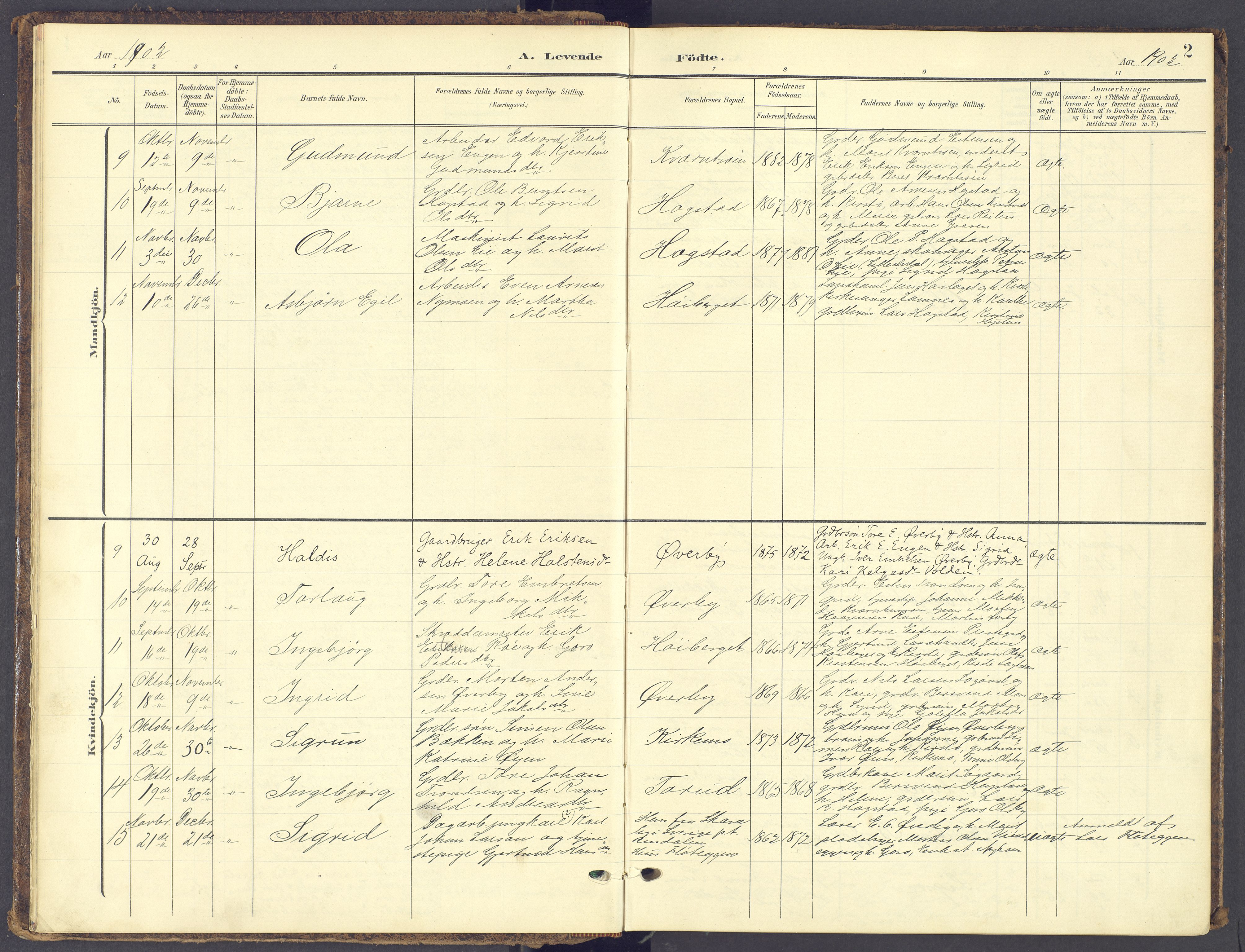 Tynset prestekontor, AV/SAH-PREST-058/H/Ha/Haa/L0028: Parish register (official) no. 28, 1902-1929, p. 2