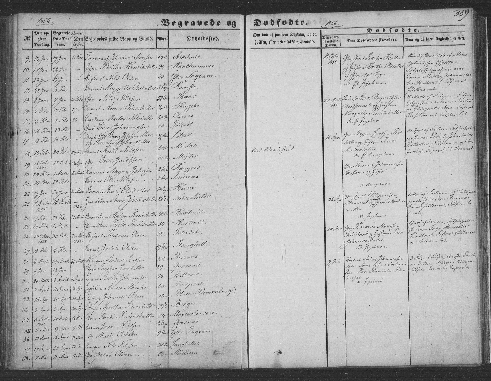 Haus sokneprestembete, SAB/A-75601/H/Haa: Parish register (official) no. A 16 II, 1848-1857, p. 359