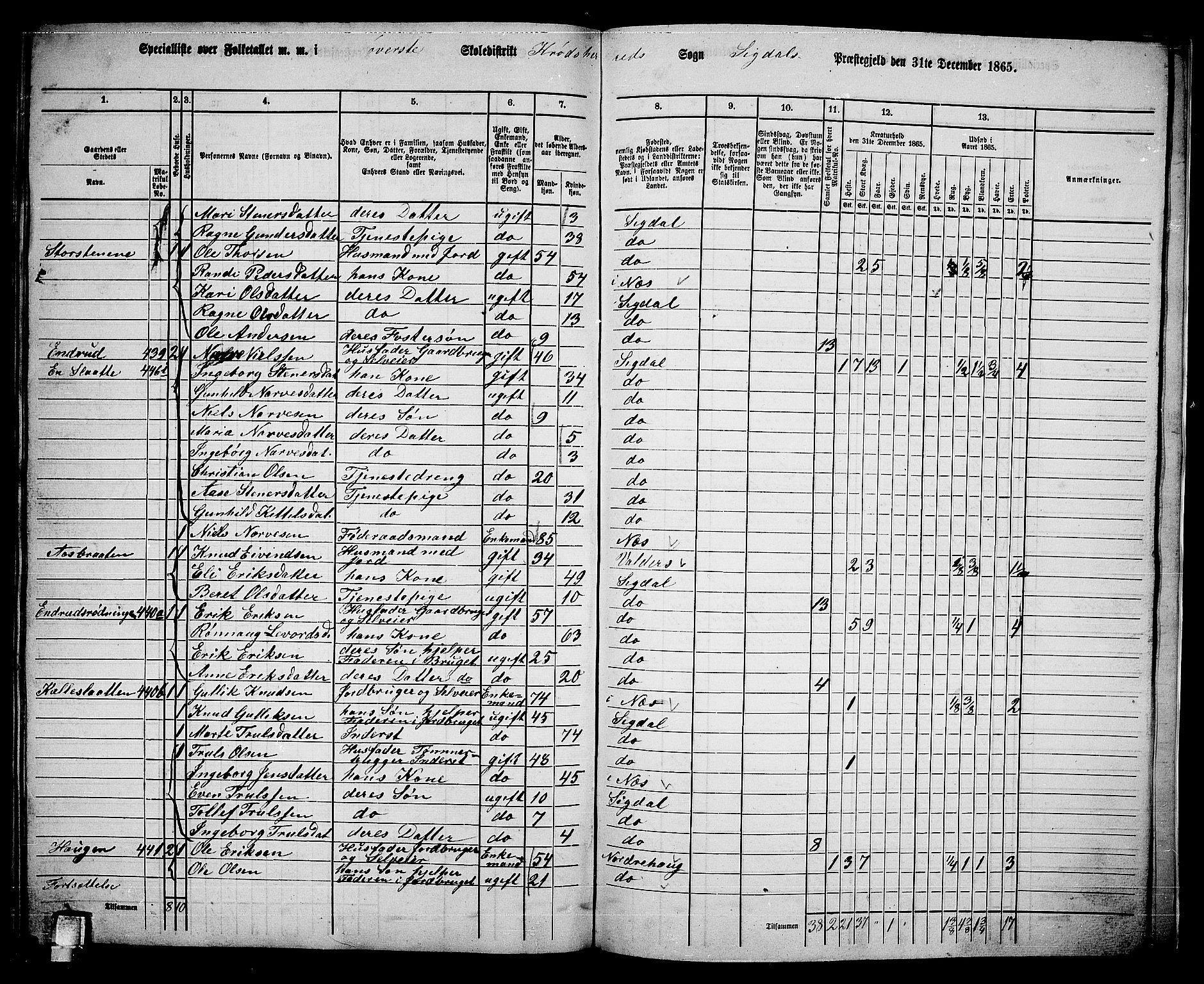 RA, 1865 census for Sigdal, 1865, p. 265