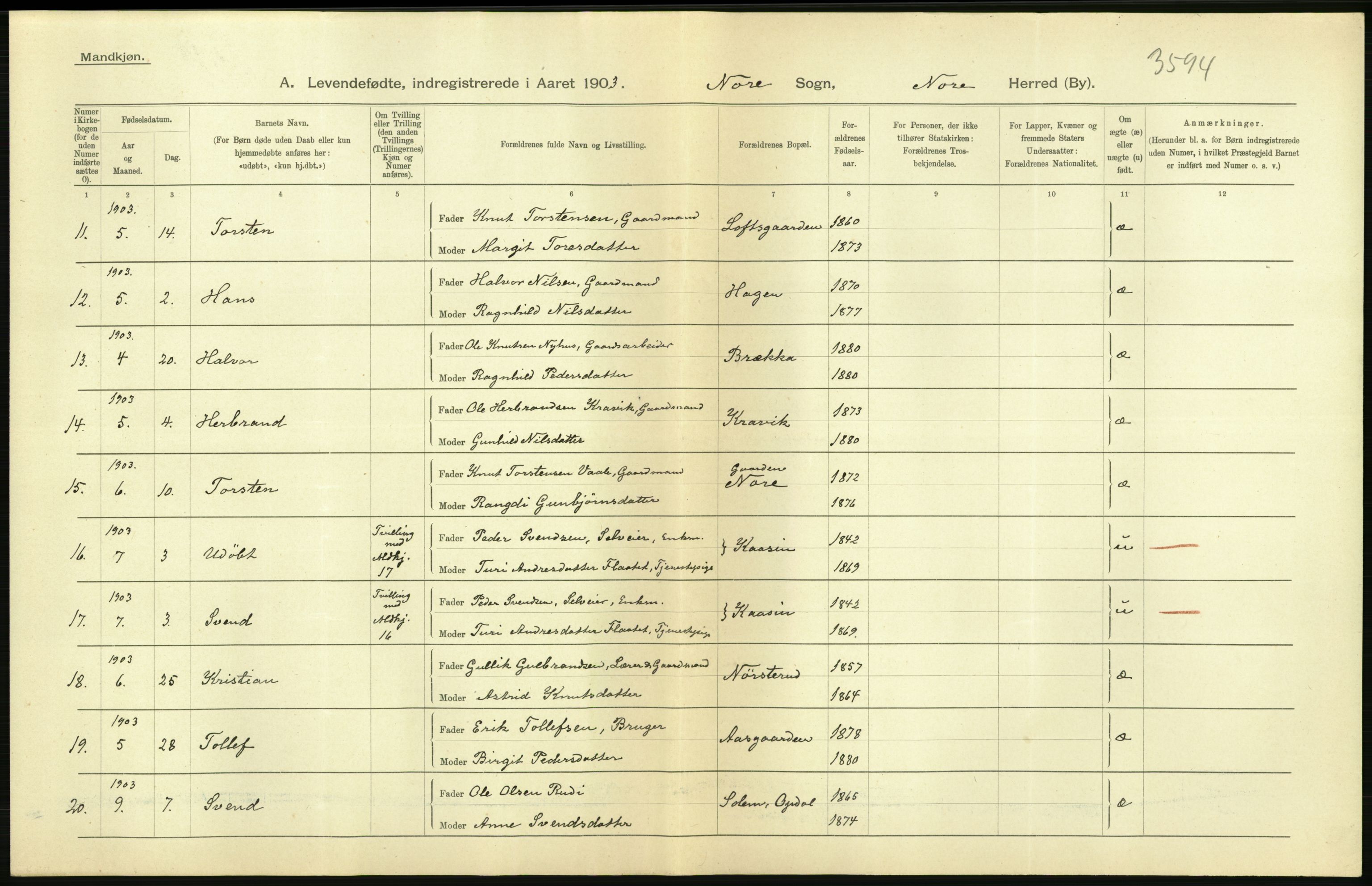 Statistisk sentralbyrå, Sosiodemografiske emner, Befolkning, AV/RA-S-2228/D/Df/Dfa/Dfaa/L0007: Buskeruds amt: Fødte, gifte, døde, 1903, p. 14