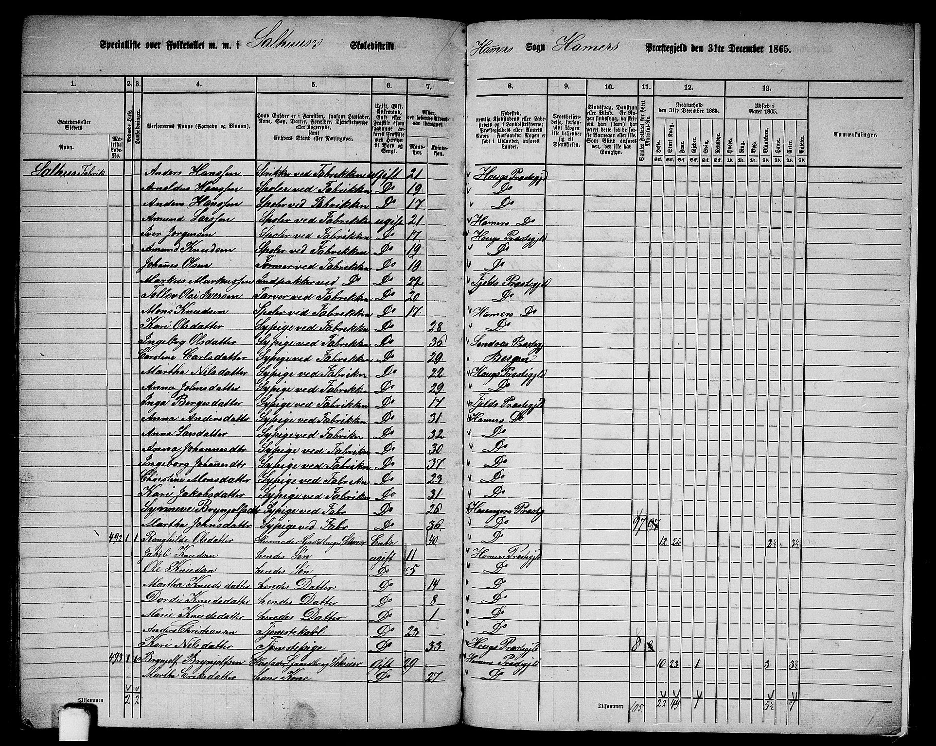 RA, 1865 census for Hamre, 1865, p. 224