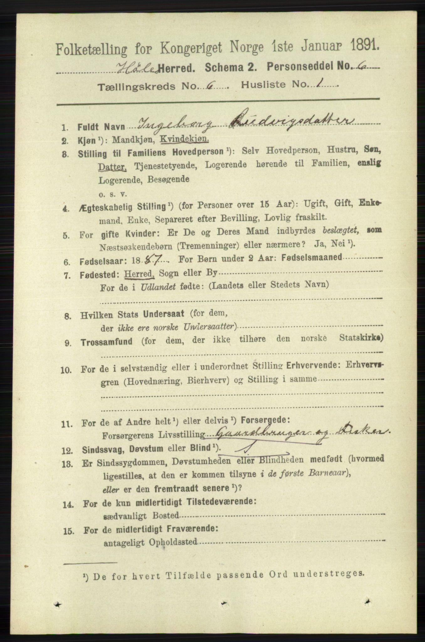 RA, 1891 census for 1128 Høle, 1891, p. 1297