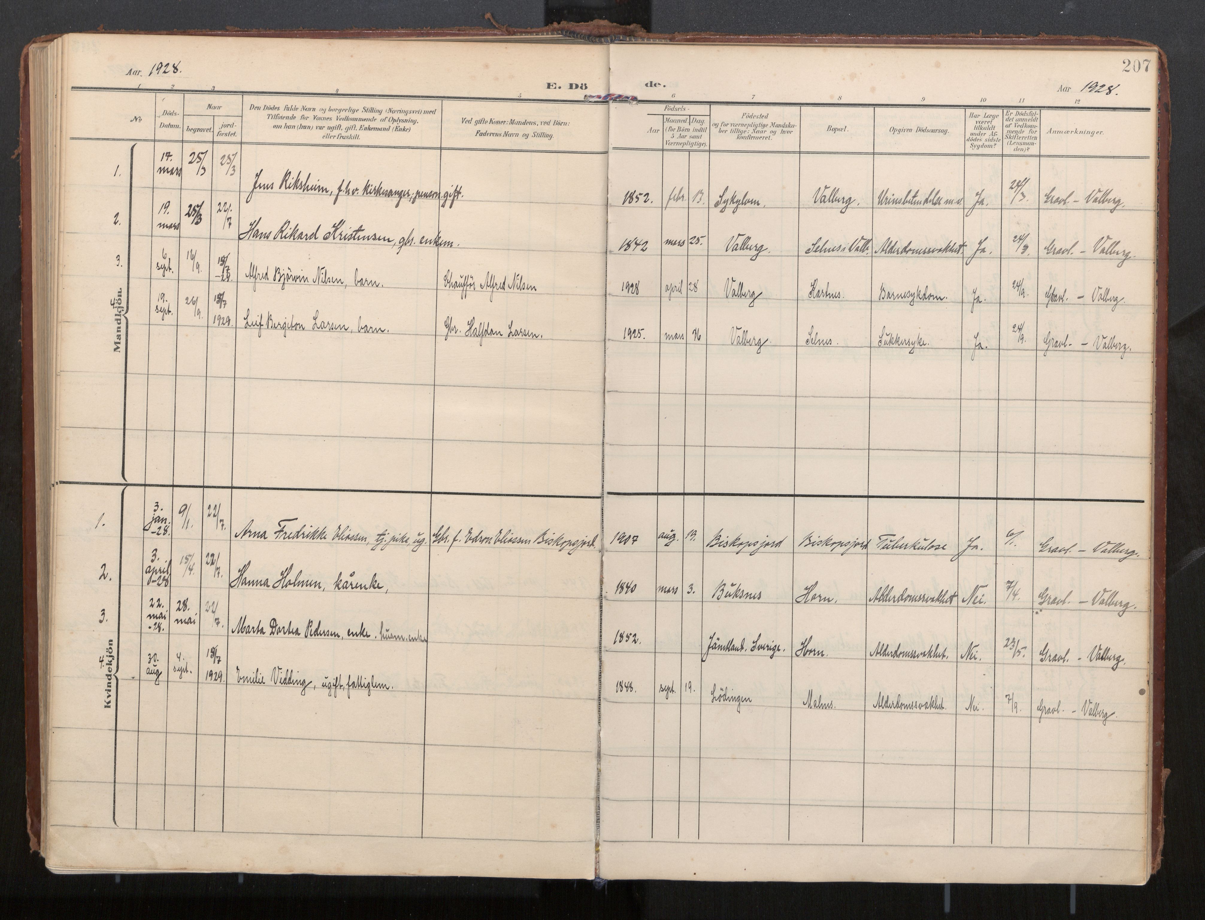 Ministerialprotokoller, klokkerbøker og fødselsregistre - Nordland, AV/SAT-A-1459/884/L1194: Parish register (official) no. 884A02, 1906-1937, p. 207