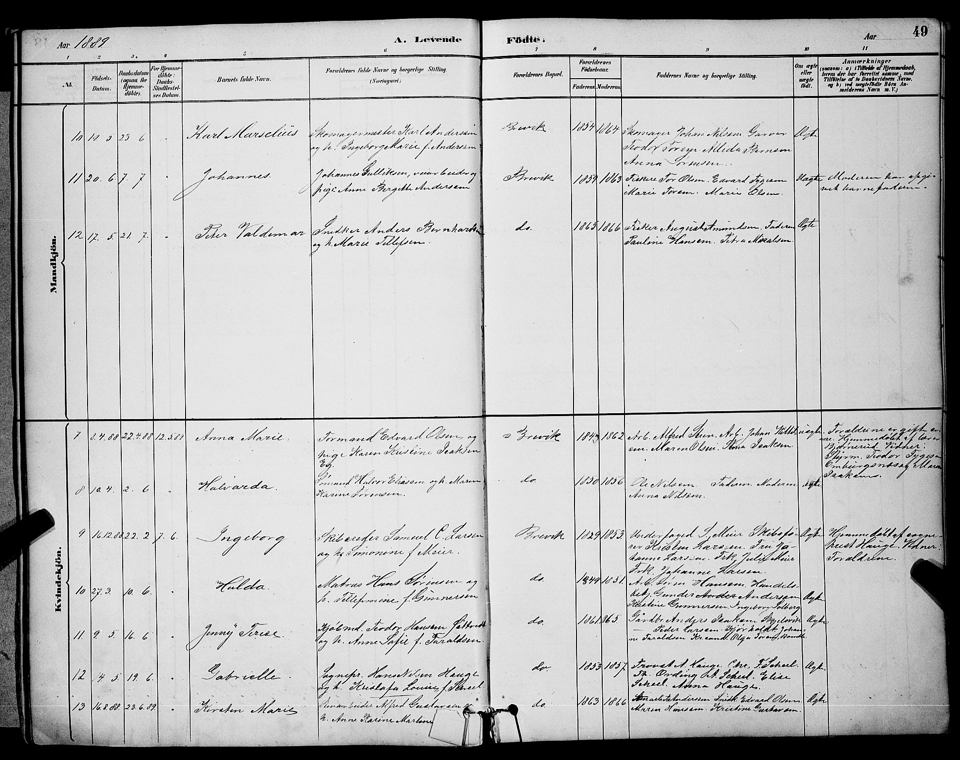 Brevik kirkebøker, AV/SAKO-A-255/G/Ga/L0004: Parish register (copy) no. 4, 1882-1900, p. 49