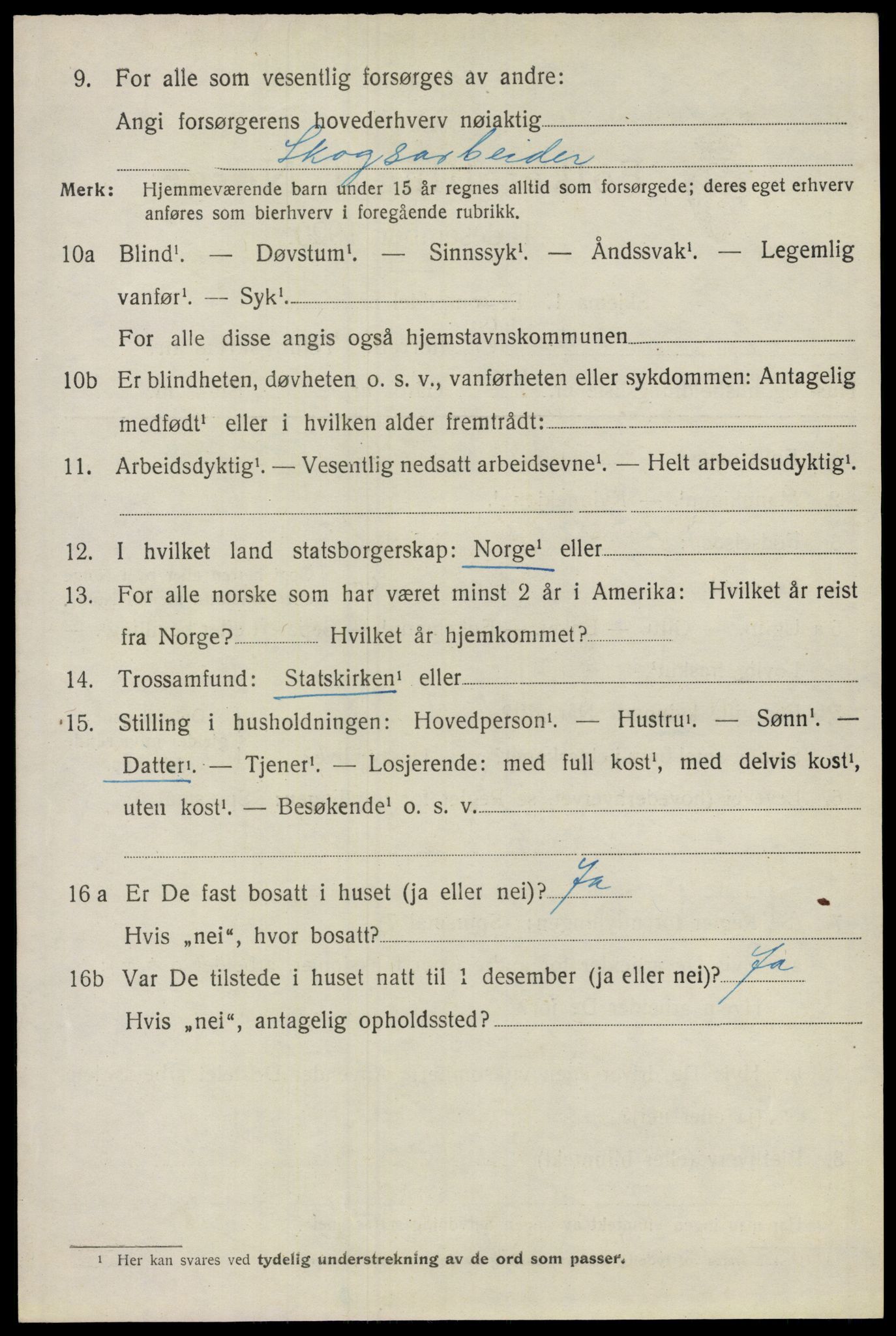 SAO, 1920 census for Nes, 1920, p. 9917