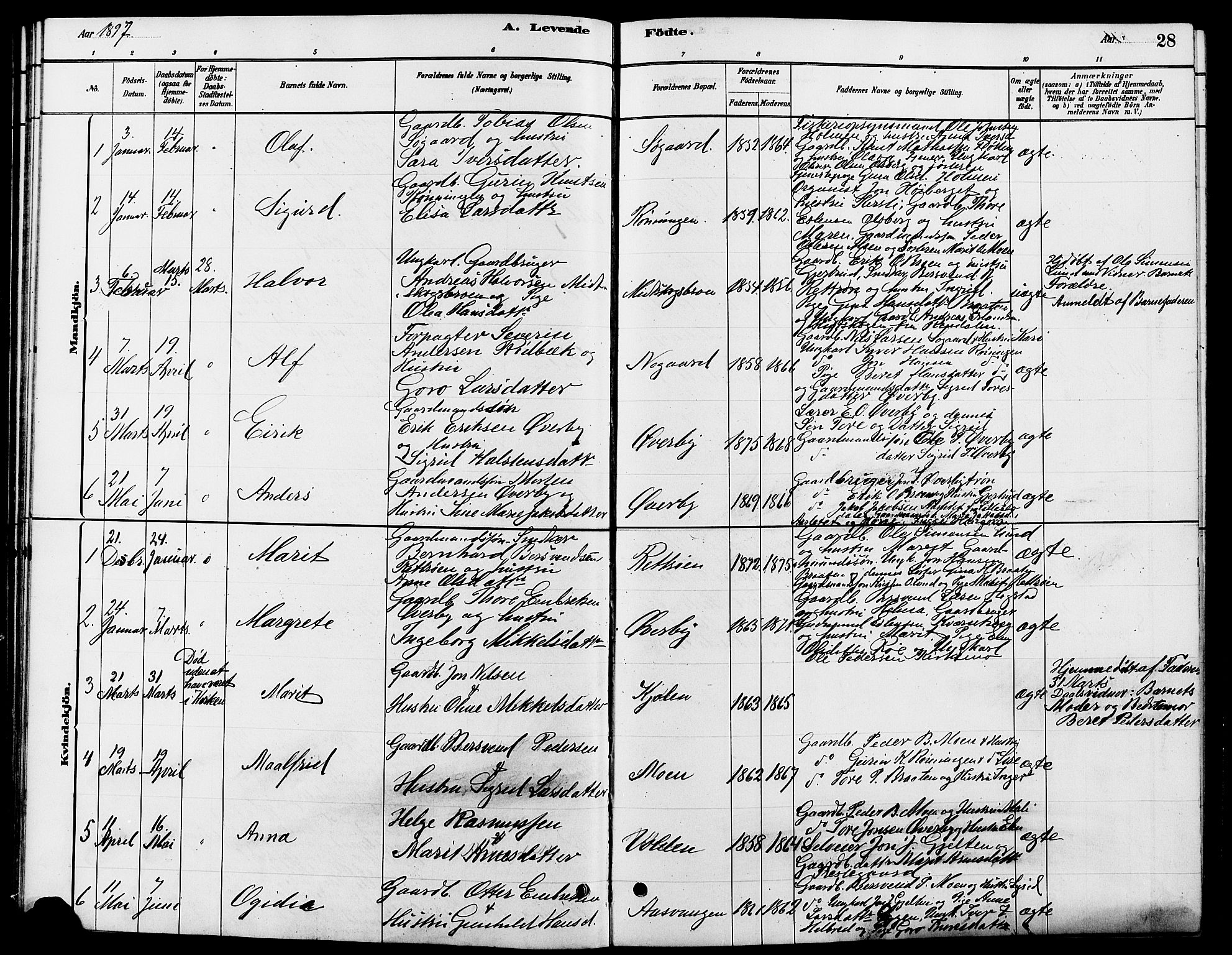 Tynset prestekontor, SAH/PREST-058/H/Ha/Hab/L0007: Parish register (copy) no. 7, 1880-1901, p. 28