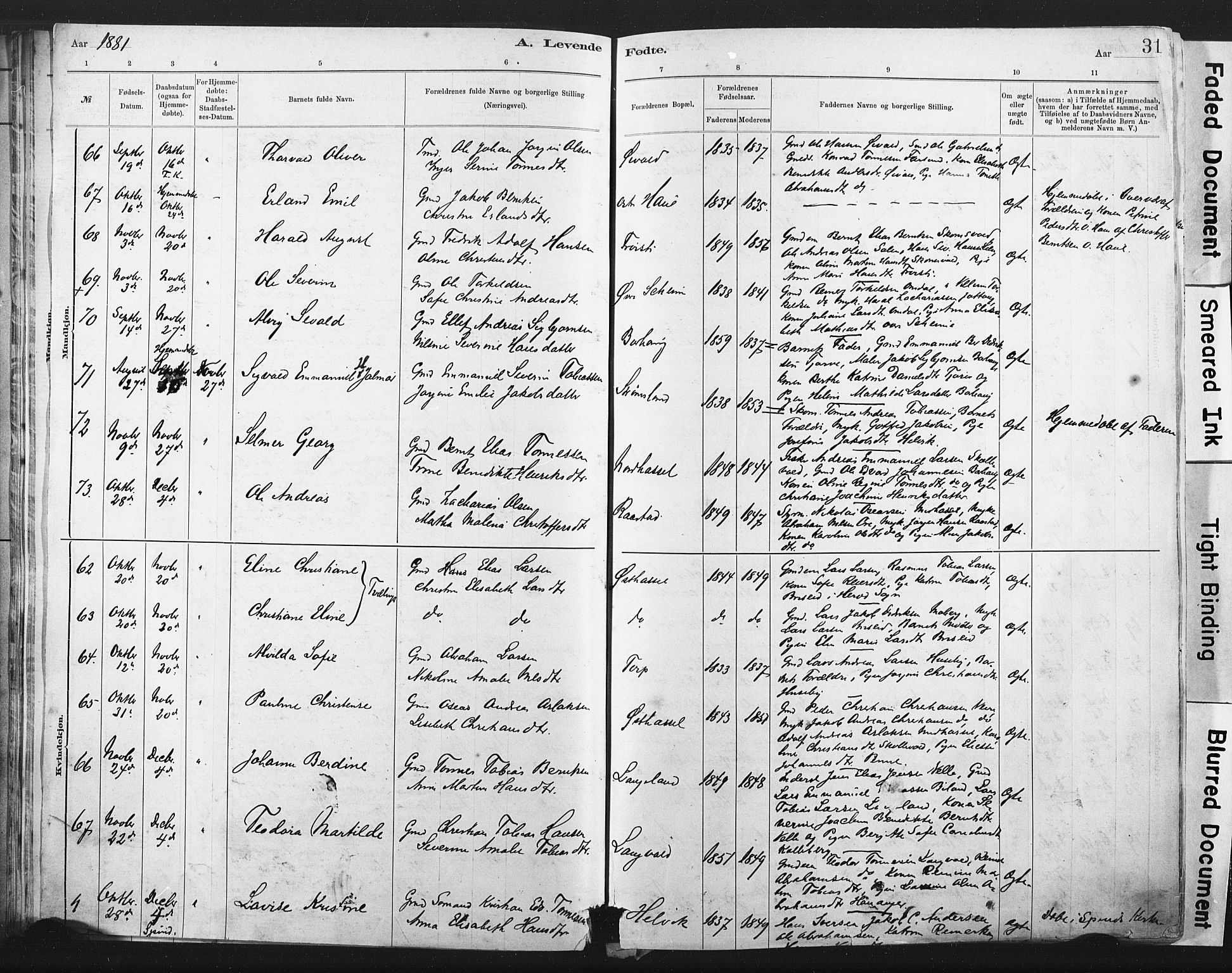 Lista sokneprestkontor, AV/SAK-1111-0027/F/Fa/L0012: Parish register (official) no. A 12, 1879-1903, p. 31