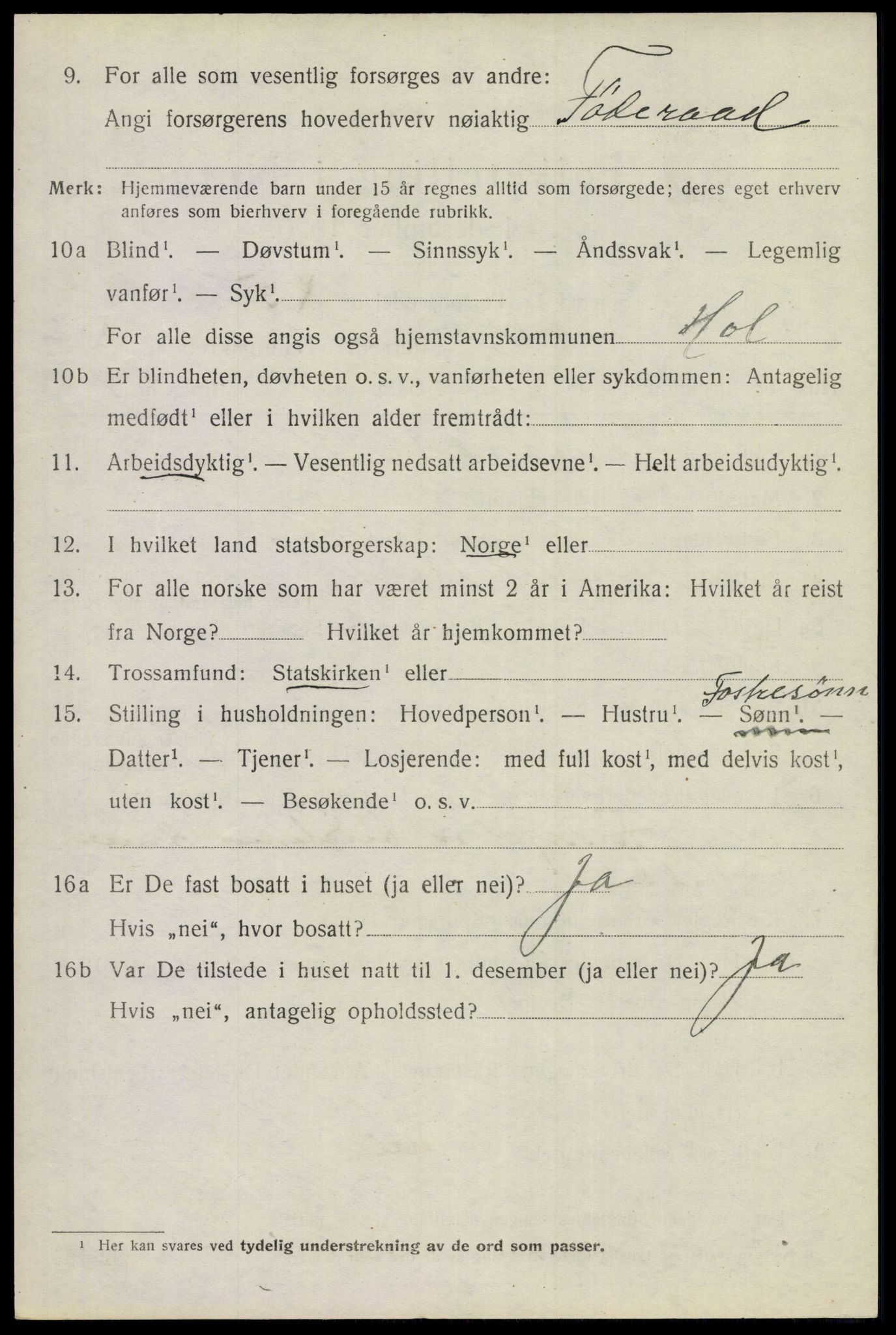 SAKO, 1920 census for Hol (Buskerud), 1920, p. 3786