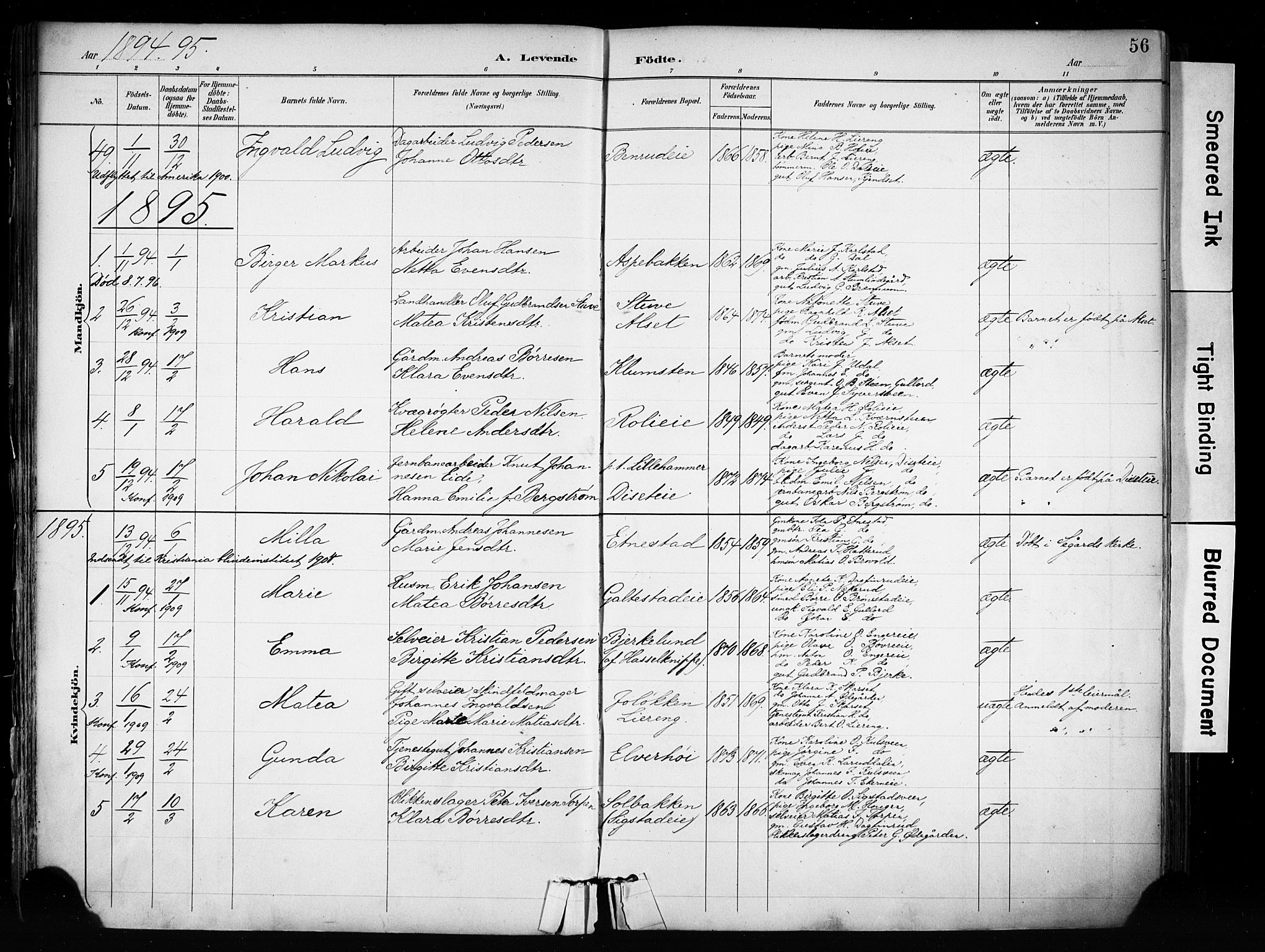 Biri prestekontor, SAH/PREST-096/H/Ha/Haa/L0009: Parish register (official) no. 9, 1887-1900, p. 56