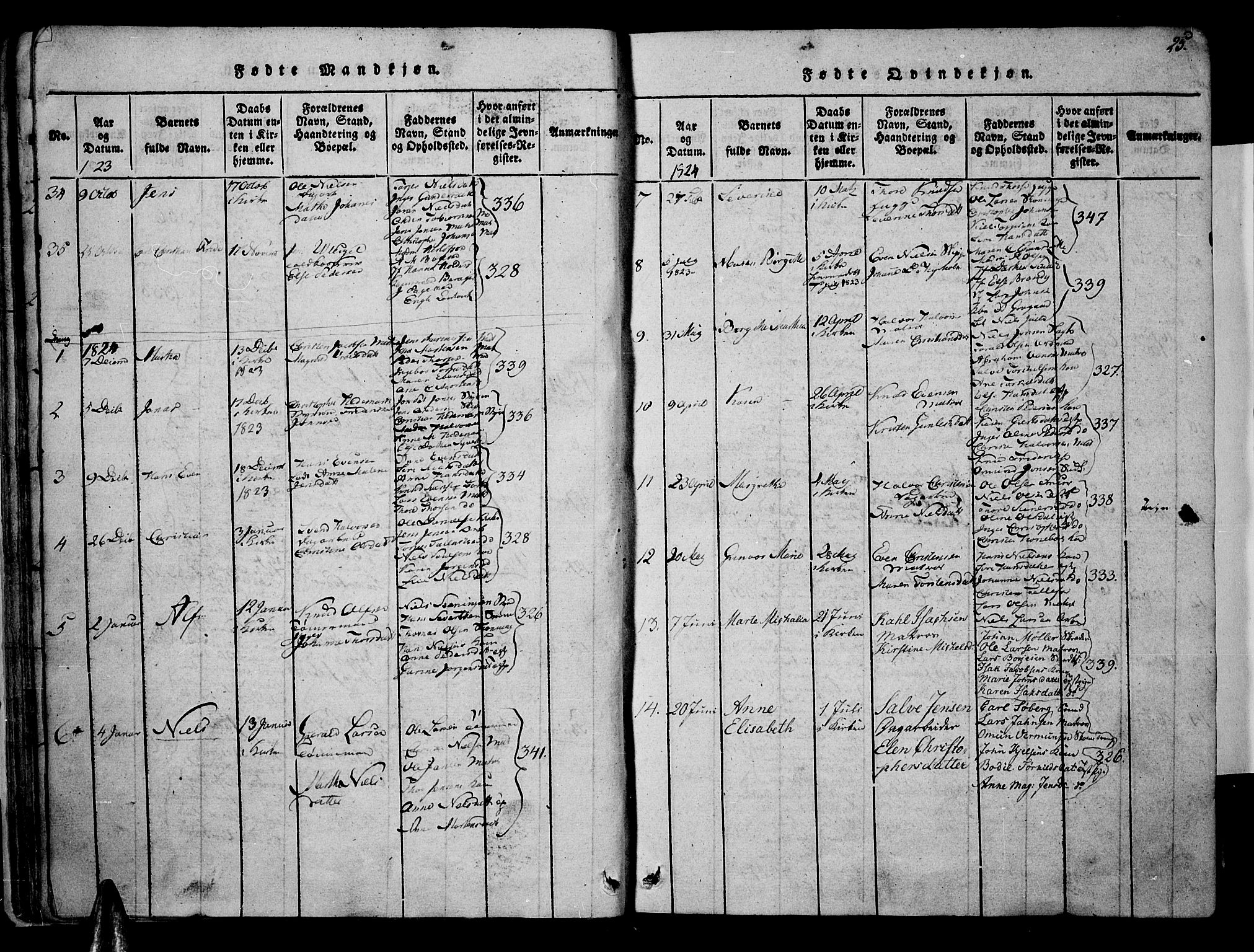Risør sokneprestkontor, SAK/1111-0035/F/Fa/L0002: Parish register (official) no. A 2, 1815-1839, p. 25