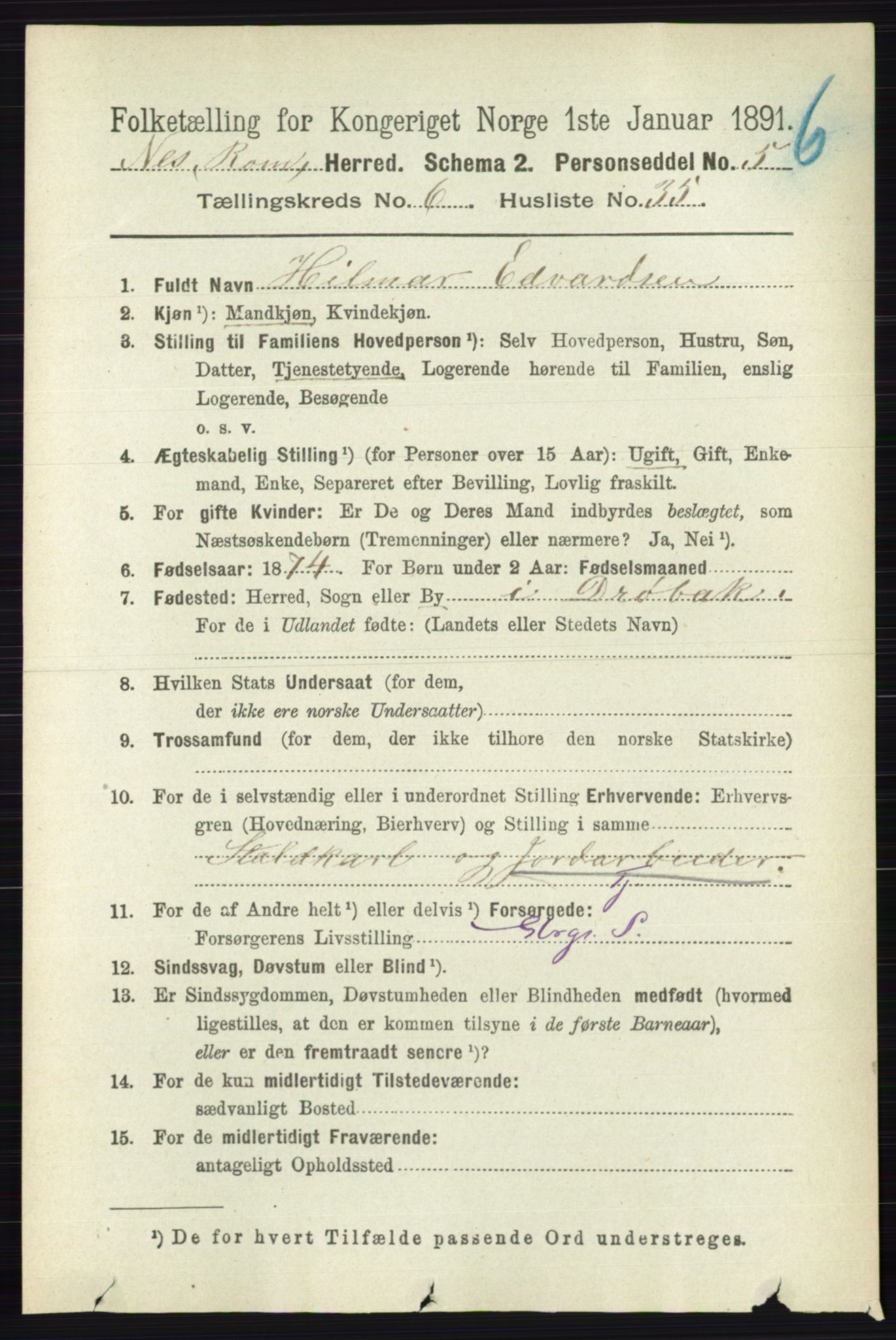 RA, 1891 census for 0236 Nes, 1891, p. 3607