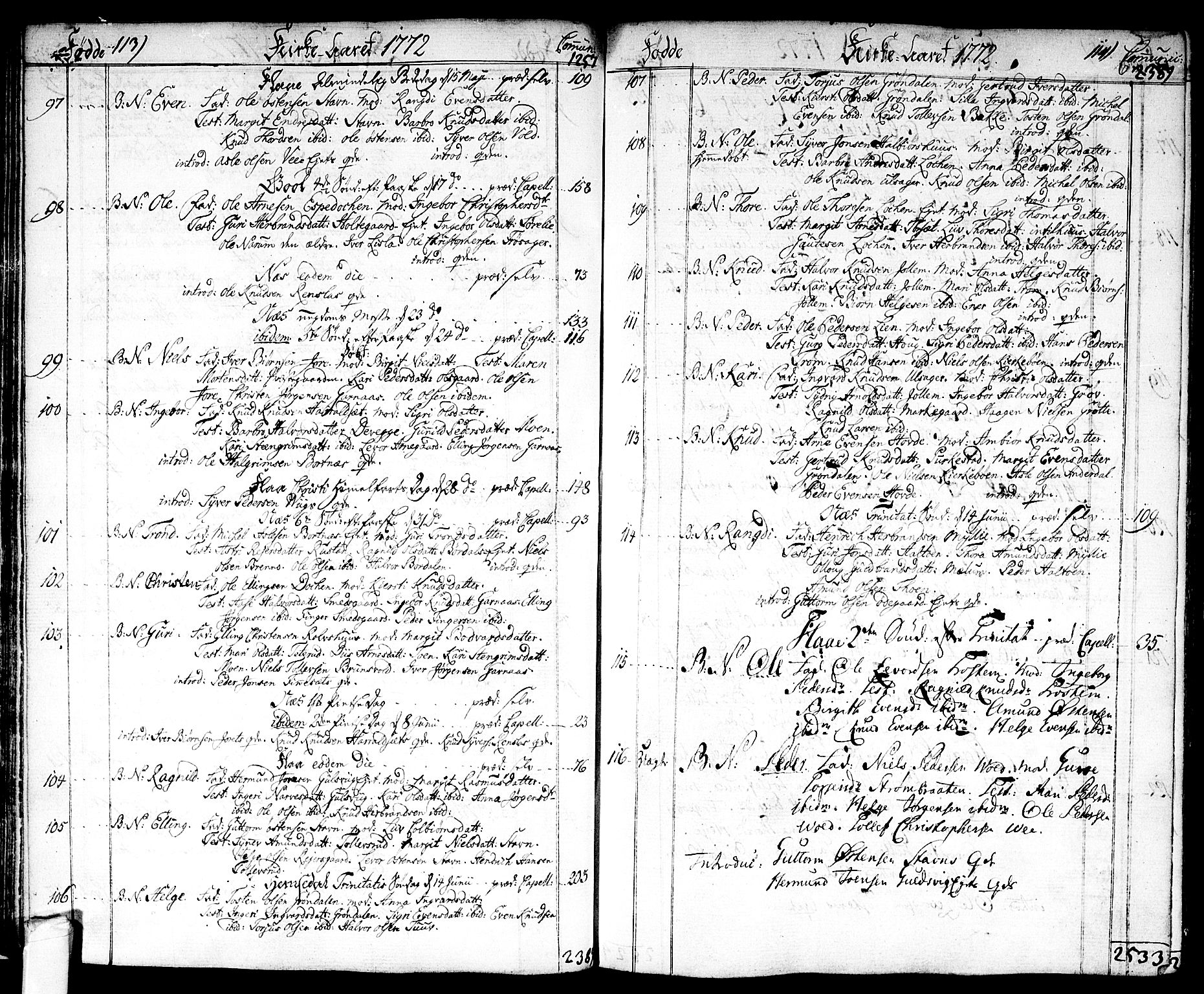 Nes kirkebøker, SAKO/A-236/F/Fa/L0004: Parish register (official) no. 4, 1764-1786, p. 113-114
