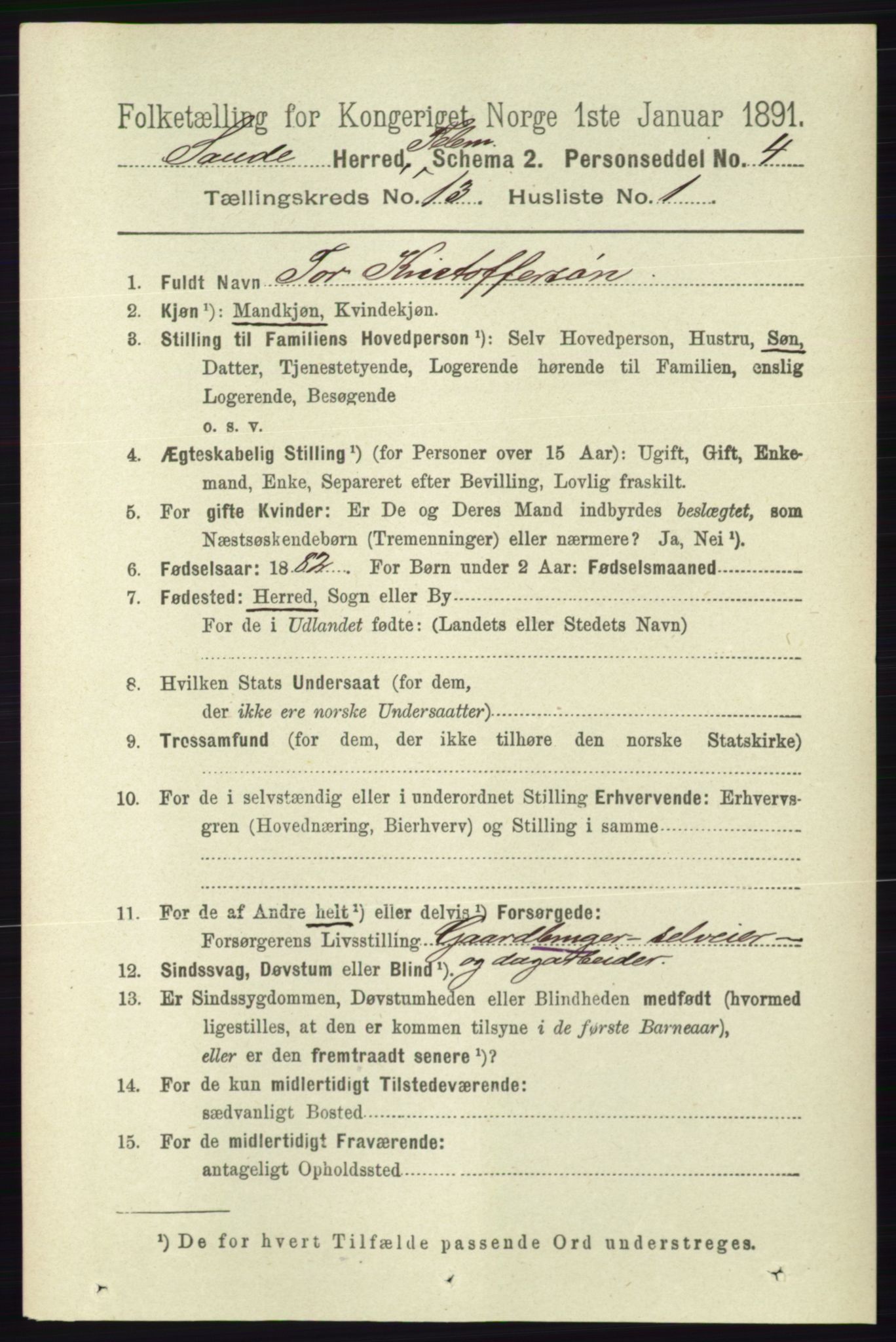 RA, 1891 census for 0822 Sauherad, 1891, p. 3908