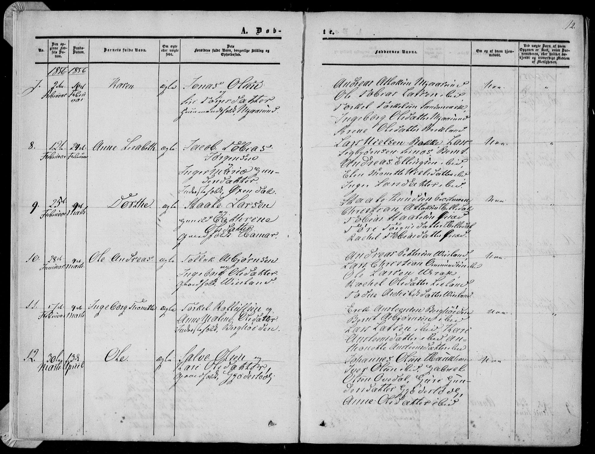 Bakke sokneprestkontor, AV/SAK-1111-0002/F/Fa/Faa/L0006: Parish register (official) no. A 6, 1855-1877, p. 12