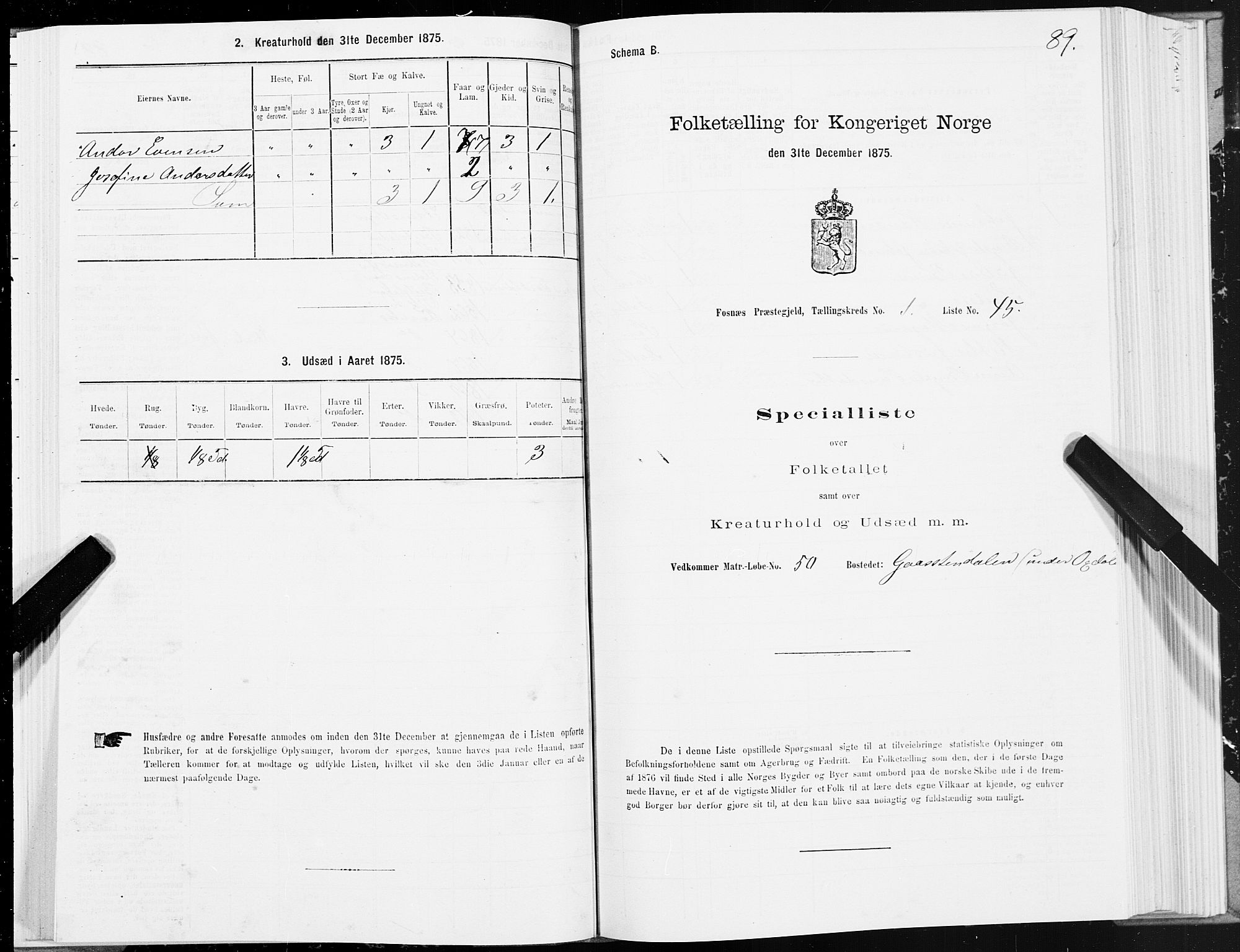 SAT, 1875 census for 1748P Fosnes, 1875, p. 3089