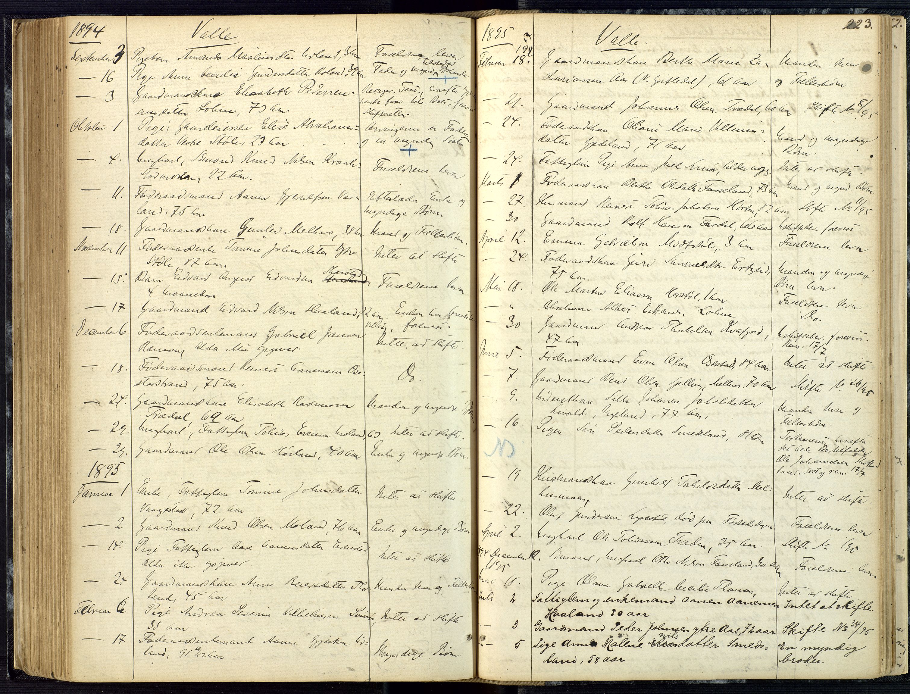 Mandal sorenskriveri, AV/SAK-1221-0005/001/H/Ha/L0001: Dødsfall hele sorenskriveriet nr A1, 1862-1901, p. 222b-223a