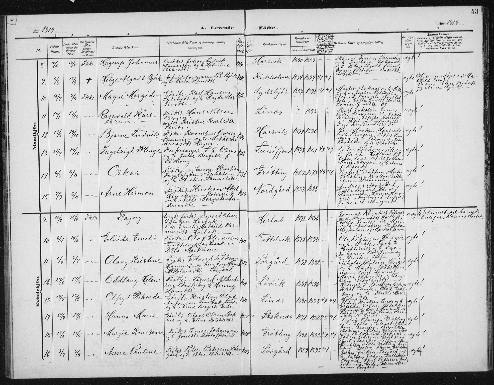 Ministerialprotokoller, klokkerbøker og fødselsregistre - Sør-Trøndelag, SAT/A-1456/656/L0699: Parish register (copy) no. 656C05, 1905-1920, p. 43